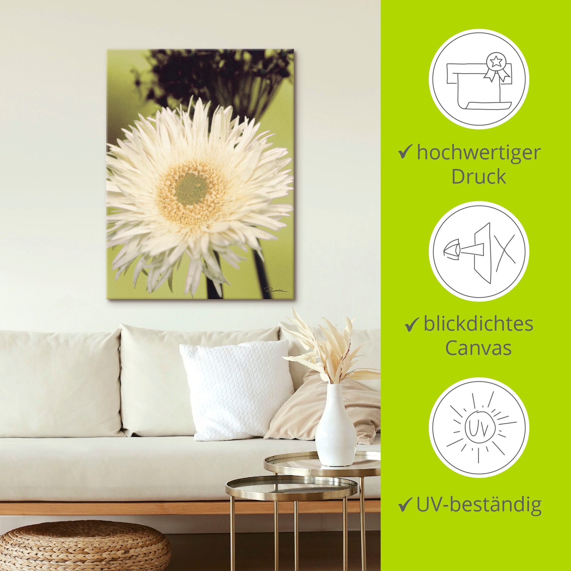 Artland Leinwandbild »Eine vor grün - Gerbera«, Blumenbilder, (1 St.), auf Keilrahmen gespannt