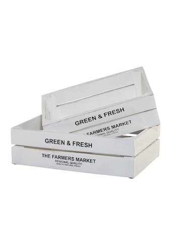 Kiste »Green&Fresh«, 2er Set kaufen