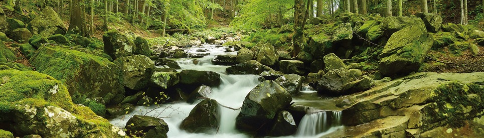 Papermoon Fototapete »Soft Water Stream Panorama«, matt, Vlies, 2 Bahnen, 350 x 100 cm
