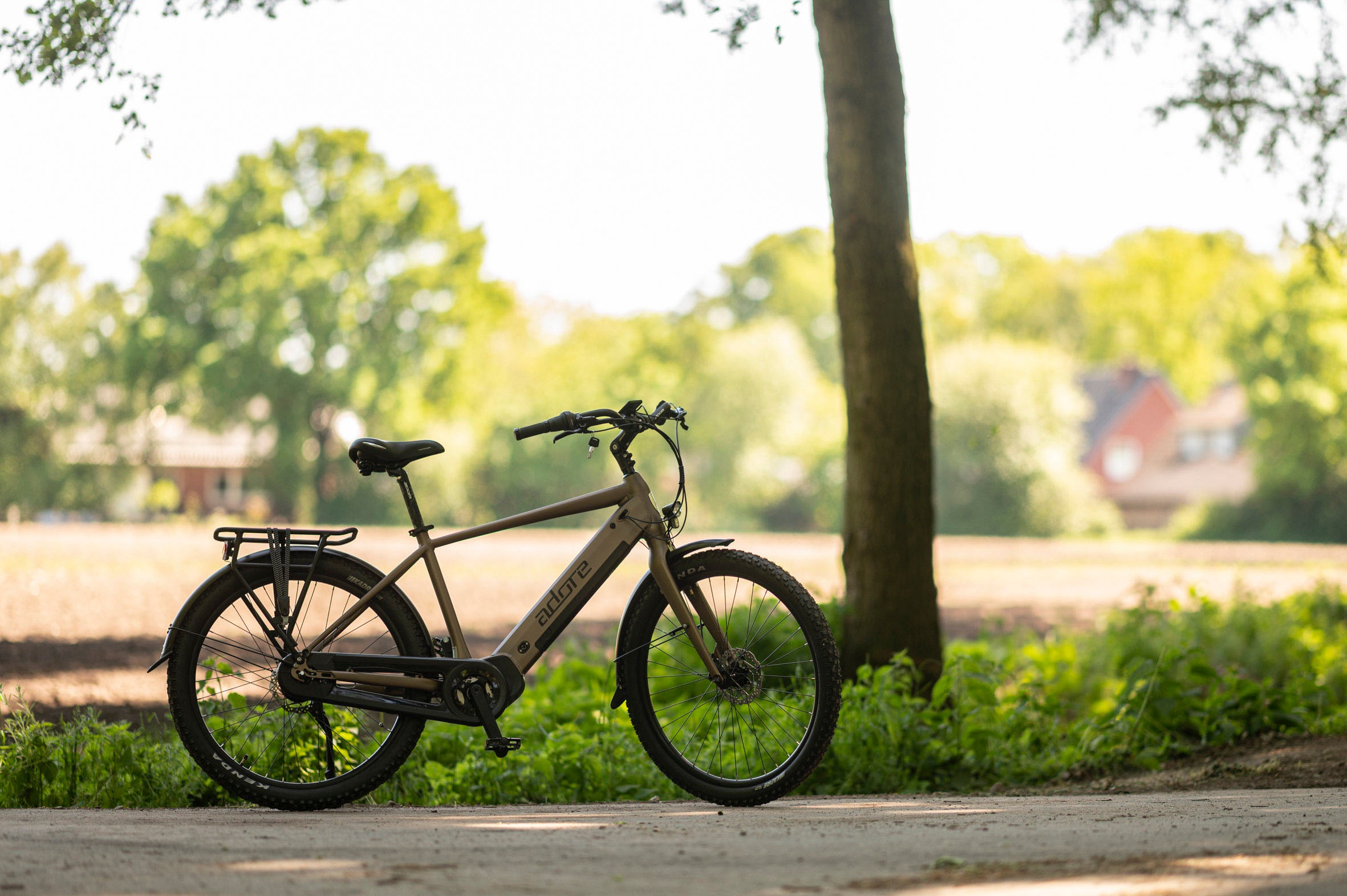 Adore E-Bike »CX-290«, 8 Gang, Shimano, Nexus, Mittelmotor 250 W, Pedelec, Elektrofahrrad für Damen u. Herren