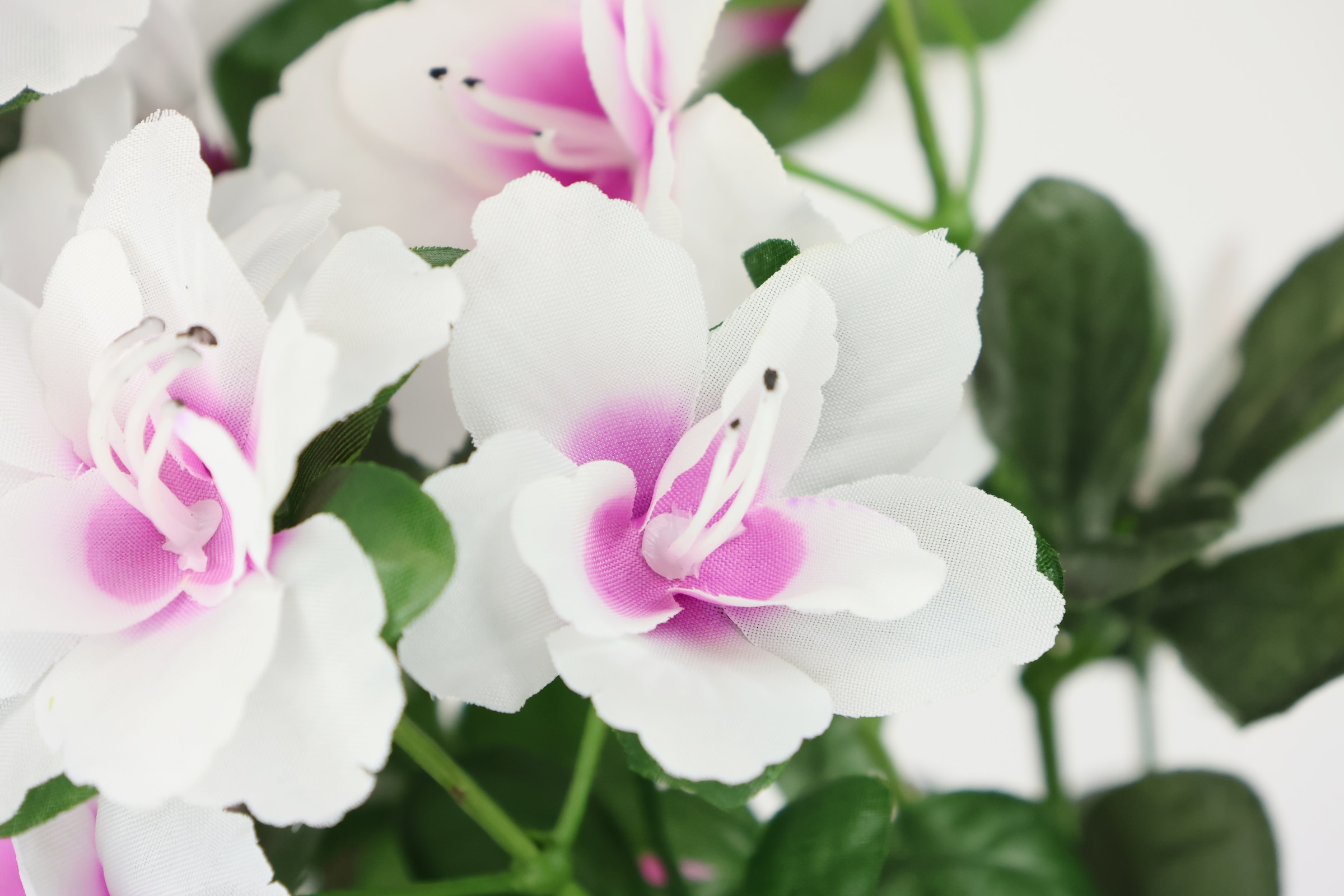 I.GE.A. Kunstblume »Kunstblume Azaleen im Topf«, Blume Kunstpflanze Blumendeko Tischdeko Zimmerpflanze