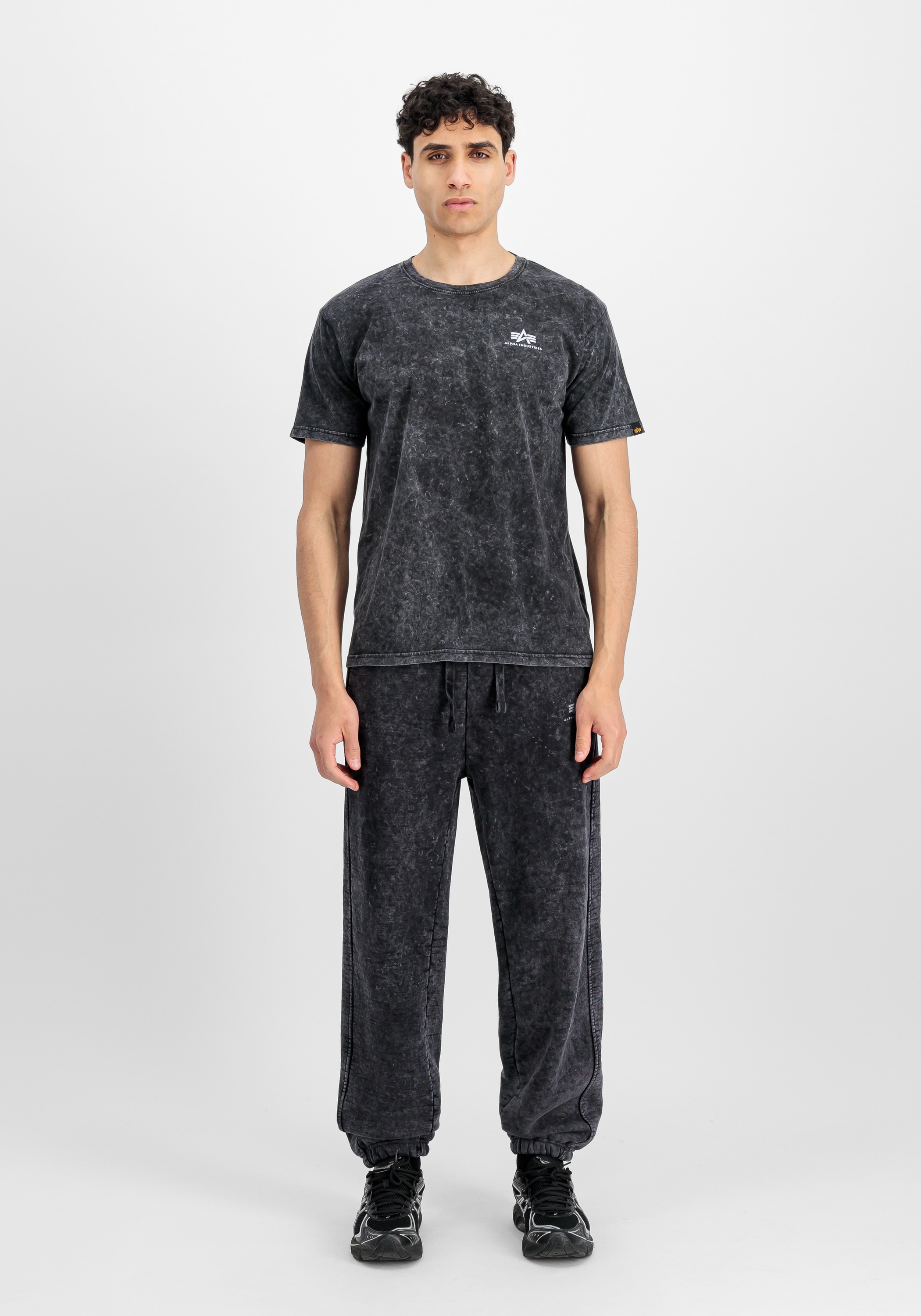 Alpha Industries T-Shirt »Vintage Backprint T-Shirt«