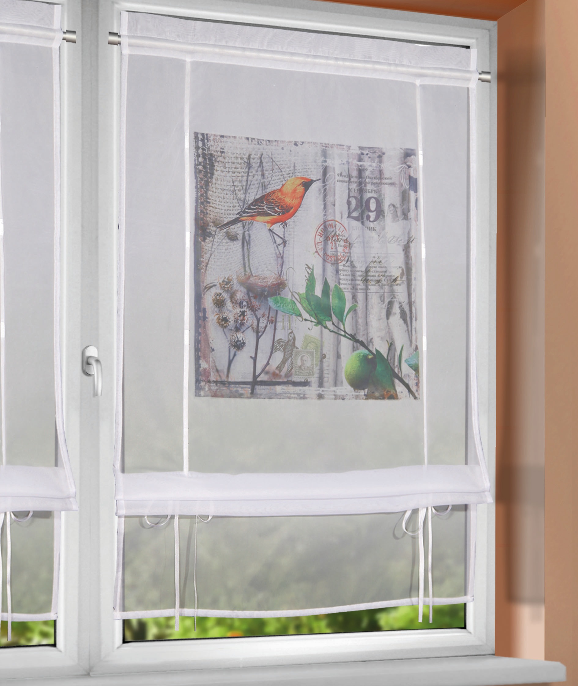 WILLKOMMEN ZUHAUSE by ALBANI GROUP Bändchenrollo »Vogel«, mit Stangendurchzug, Bändchenrollo