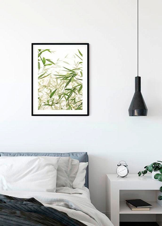 Komar Bild »Bamboo Leaves« Blätter | Pflanzen 1 Stk. tlg. Wandbild zur Dekoration - ohne Rahmen