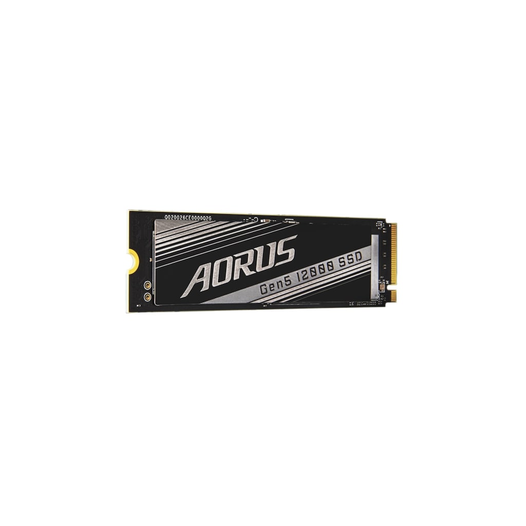Gigabyte interne SSD »AORUS Gen5 12000«