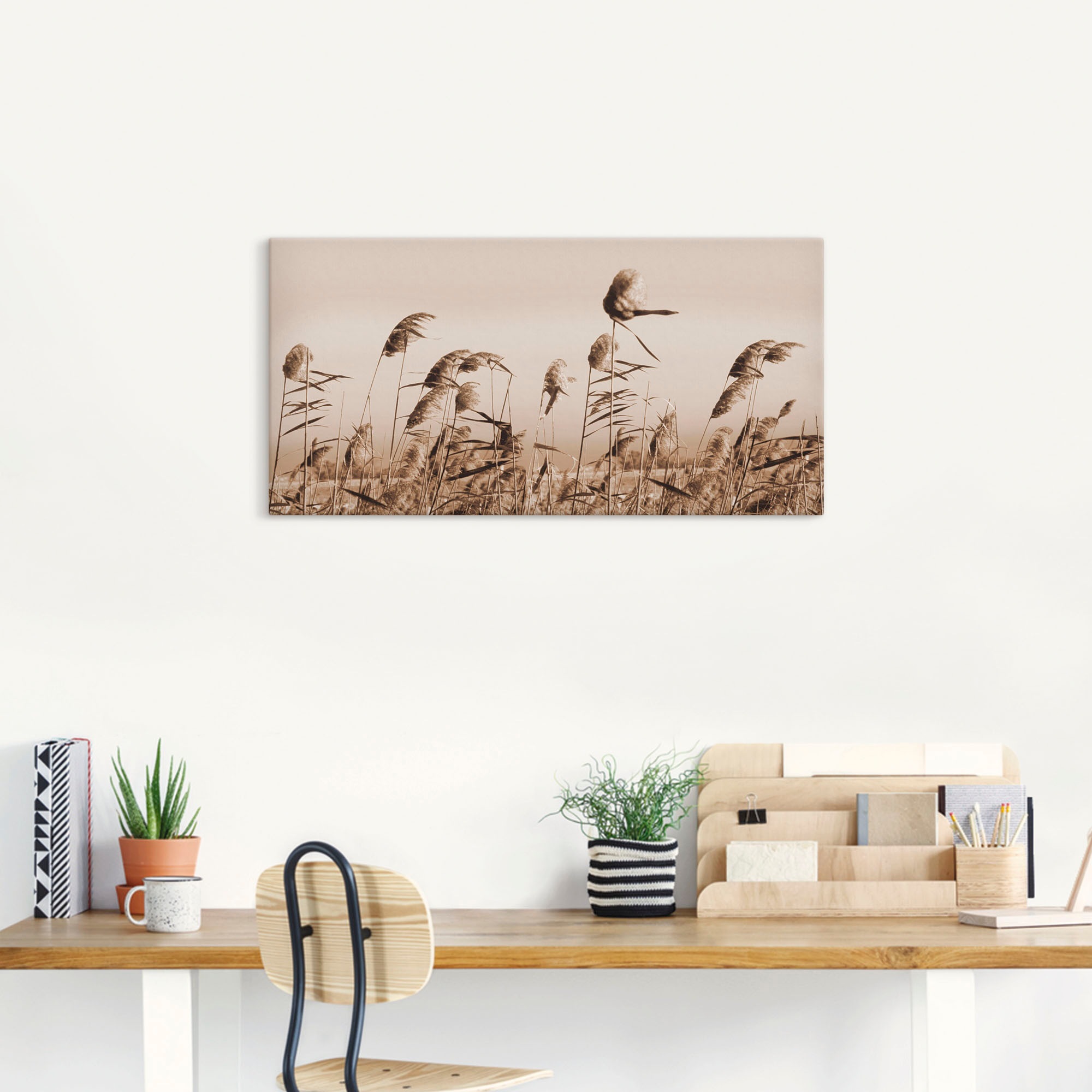 Artland Wandbild »Gräser«, Gräser, (1 St.), als Alubild, Outdoorbild, Leinwandbild, Poster, Wandaufkleber
