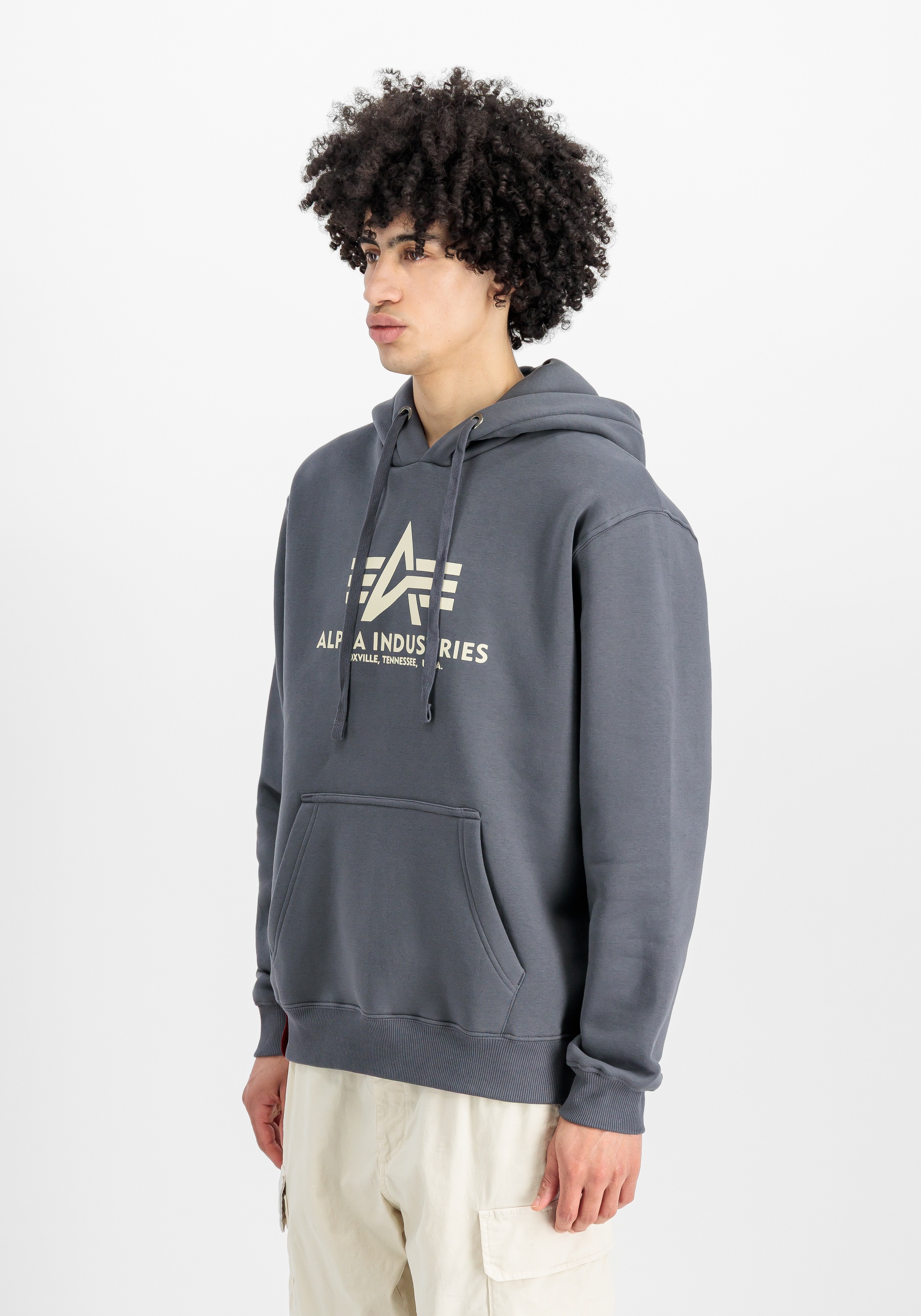 Alpha Industries Hoodie »Basic Hoodie BL«