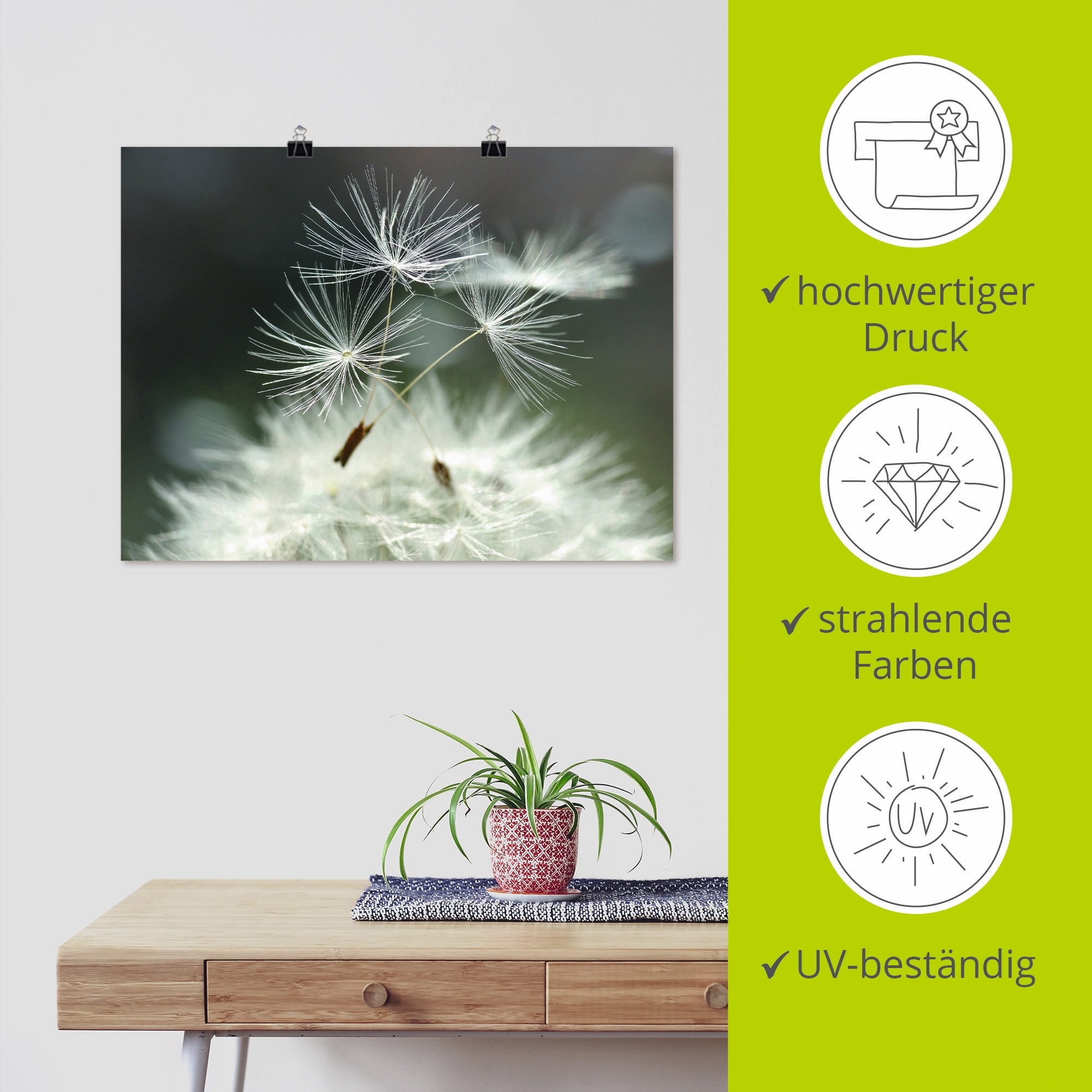 Artland Wandbild »Pusteblume Facility« Blumen 1 Stk. tlg. als Alubild, Leinwandbild, Poster in verschied. Größen