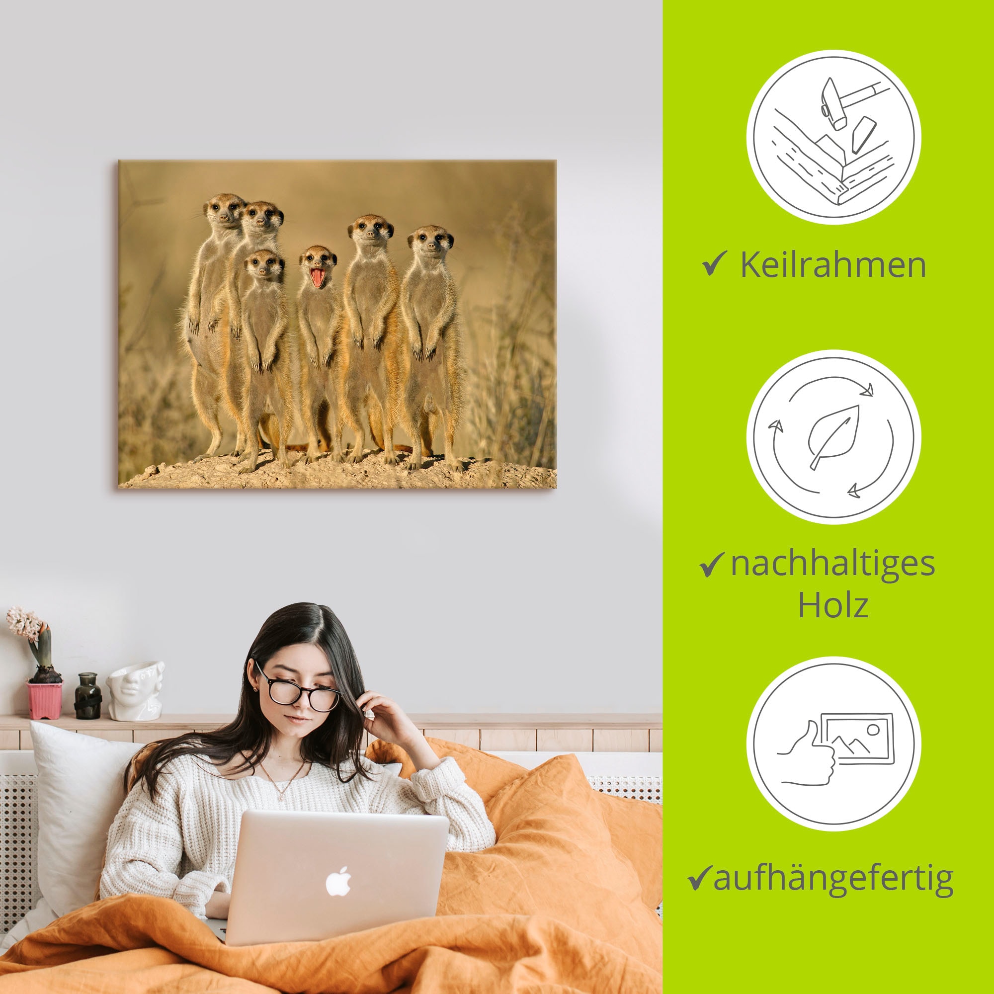 Artland Wandbild »Erdmännchen Familie«, Wildtiere, (1 St.), als Alubild, Outdoorbild, Leinwandbild, Poster, Wandaufkleber