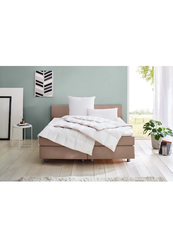 OBB Daunenbettdecke »Royal Bed«, leicht, Bezug Mako-Einschütte, 100% Baumwolle, (1... kaufen
