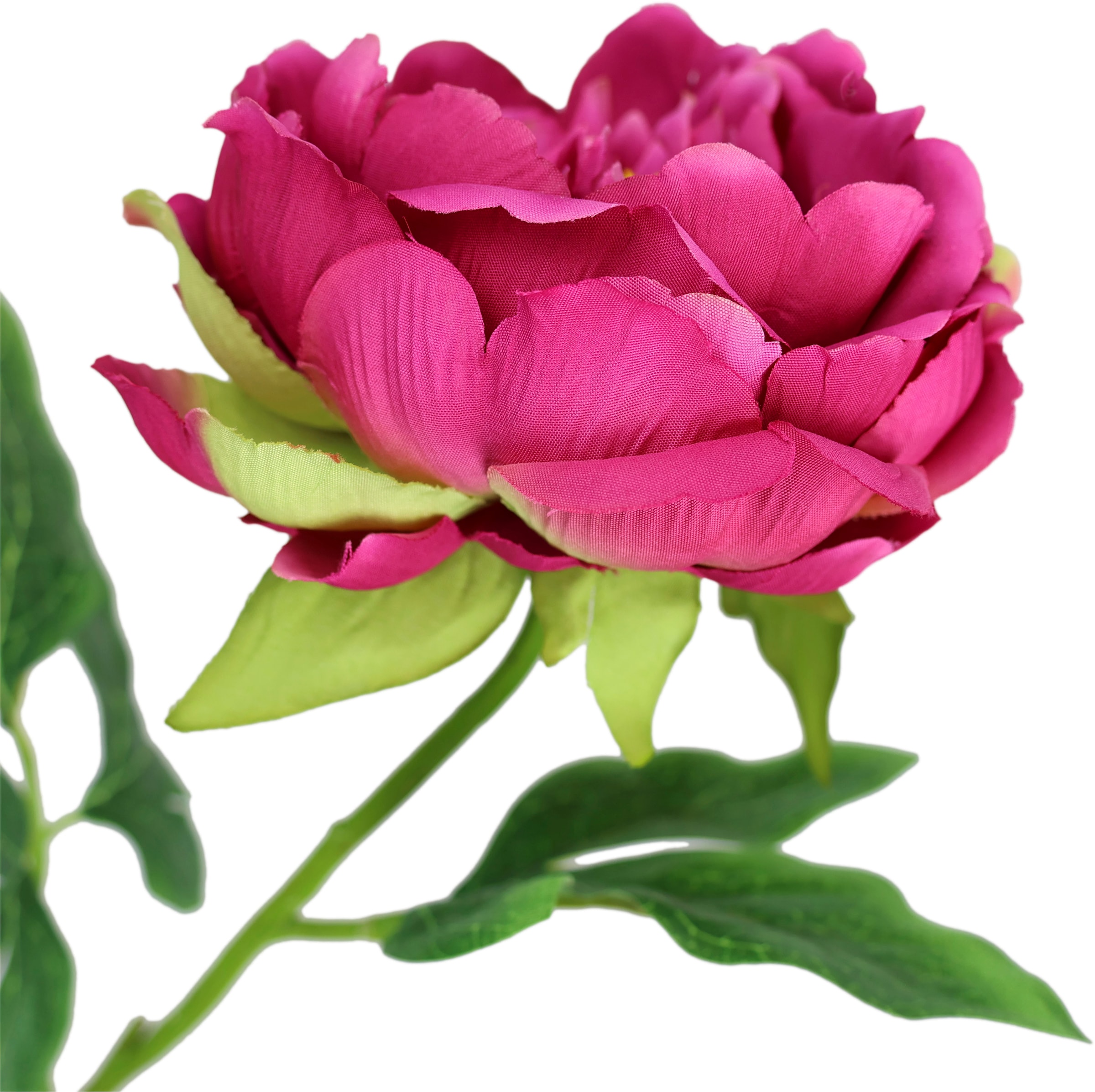 I.GE.A. Kunstblume »Päonie Bauernrose«, Pfingstrosen Einzelblume, 3er Set