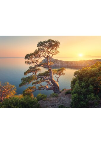 Papermoon Fototapete »Tree Mountain Sunset« kaufen
