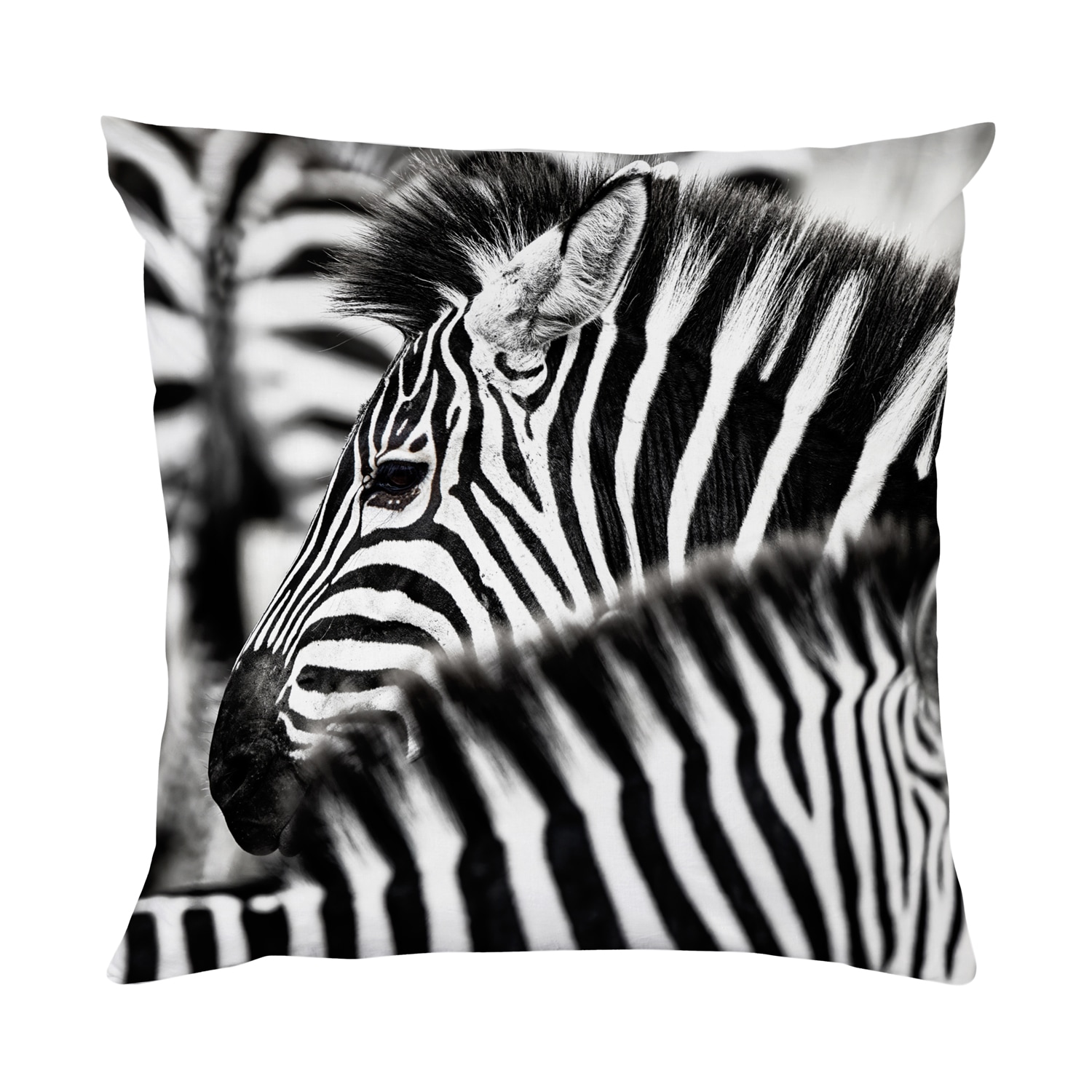 queence Dekokissen »Zebra Herde«, Kissenhülle mit HD Premium Druck, geruchsneutral, 40x40cm