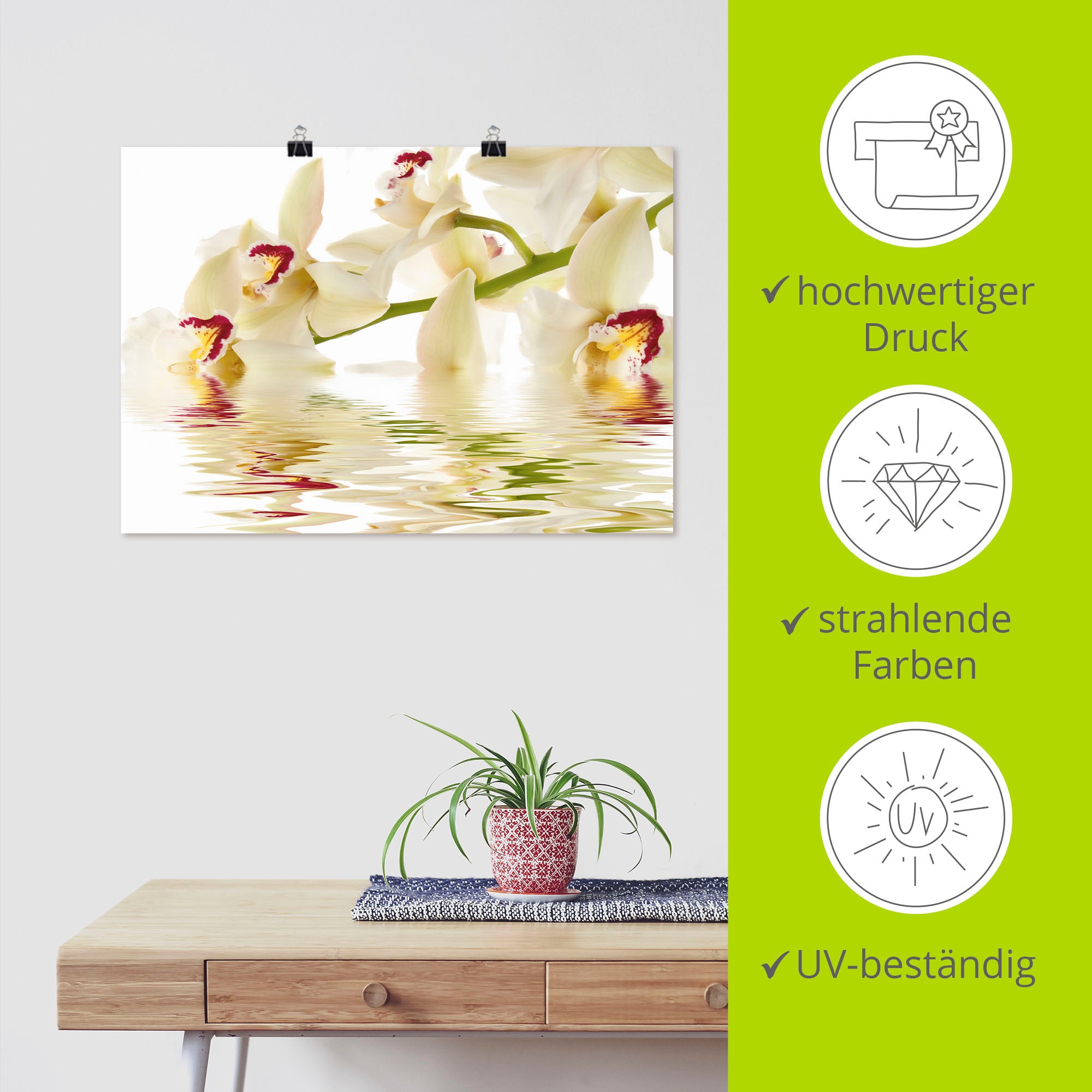 Artland Wandbild »Weiße Orchidee mit Wasserreflektion«, Blumen, (1 St.), als Leinwandbild, Poster in verschied. Größen