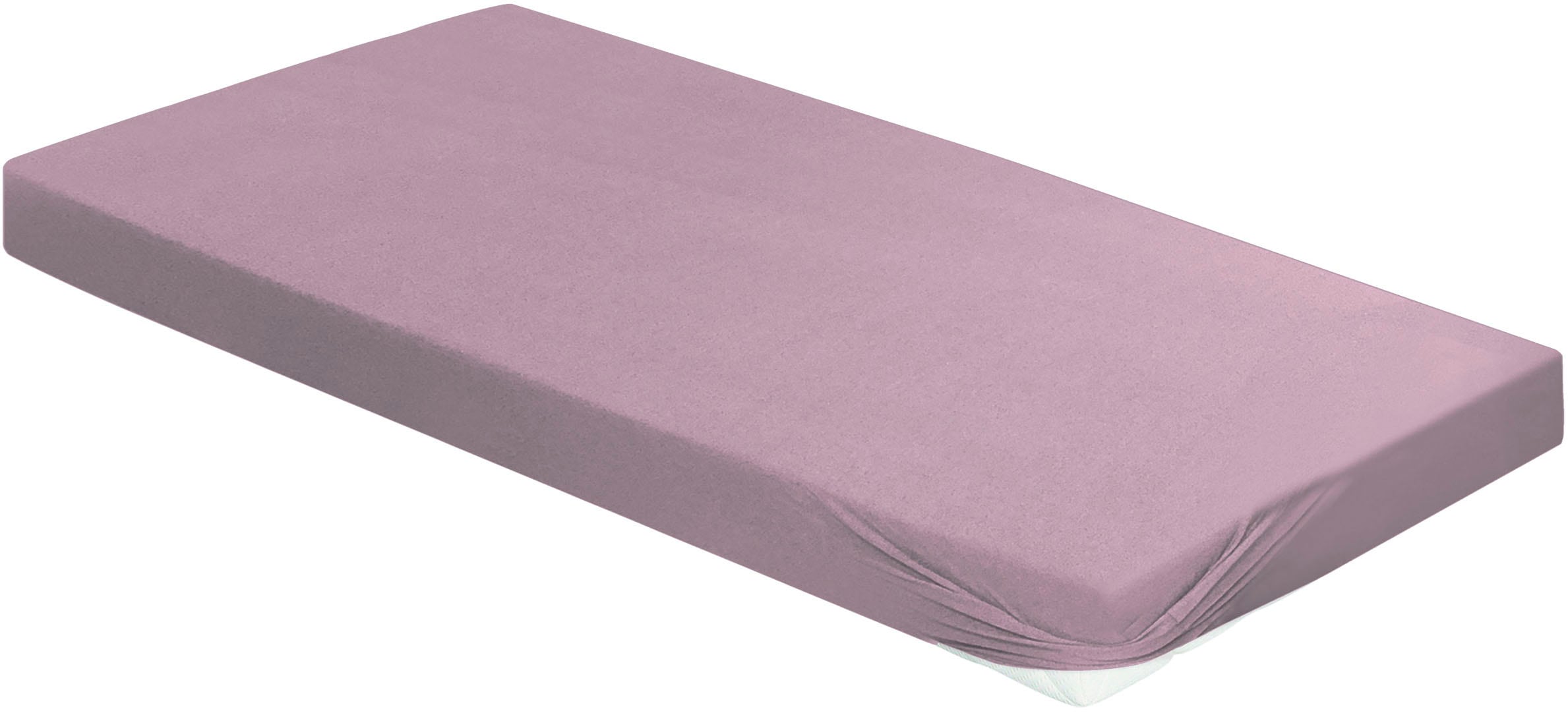 Bierbaum Spannbettlaken »Biber in lila, Größe 180x190-200 20