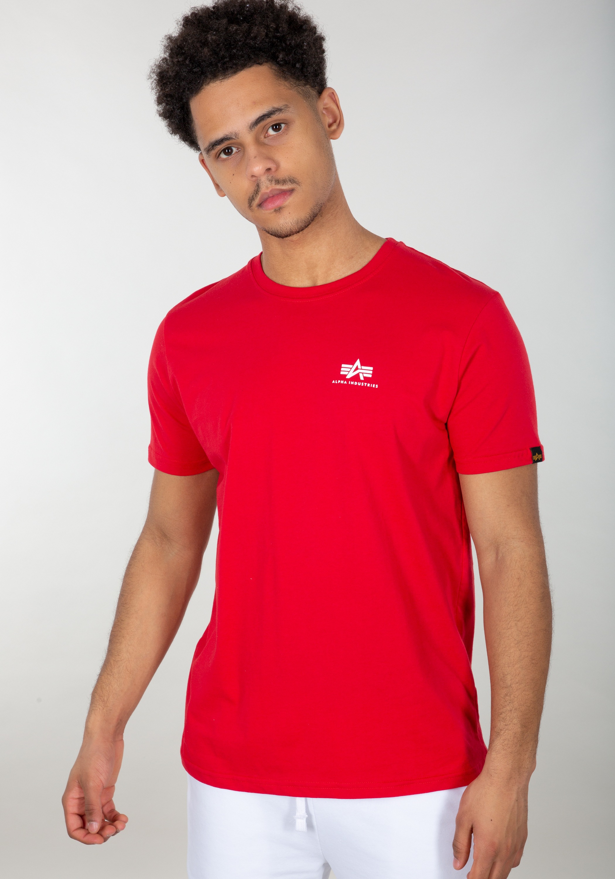 Alpha Industries T-Shirt »Backprint T-Shirt«