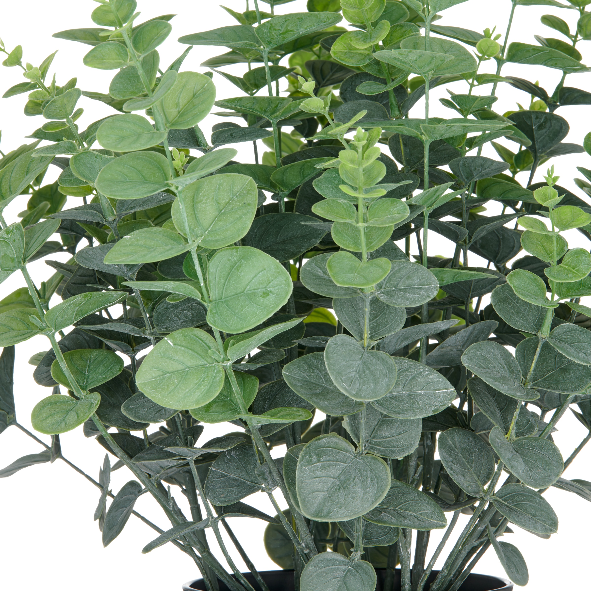 Creativ green Kunstpflanze »Eukalyptus gunnii« in UV-beständiger Ausführung