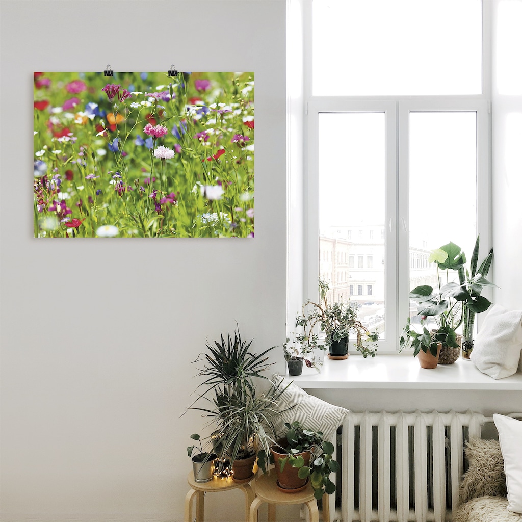 Artland Wandbild »Blumenwiese I«, Blumenwiese, (1 St.)