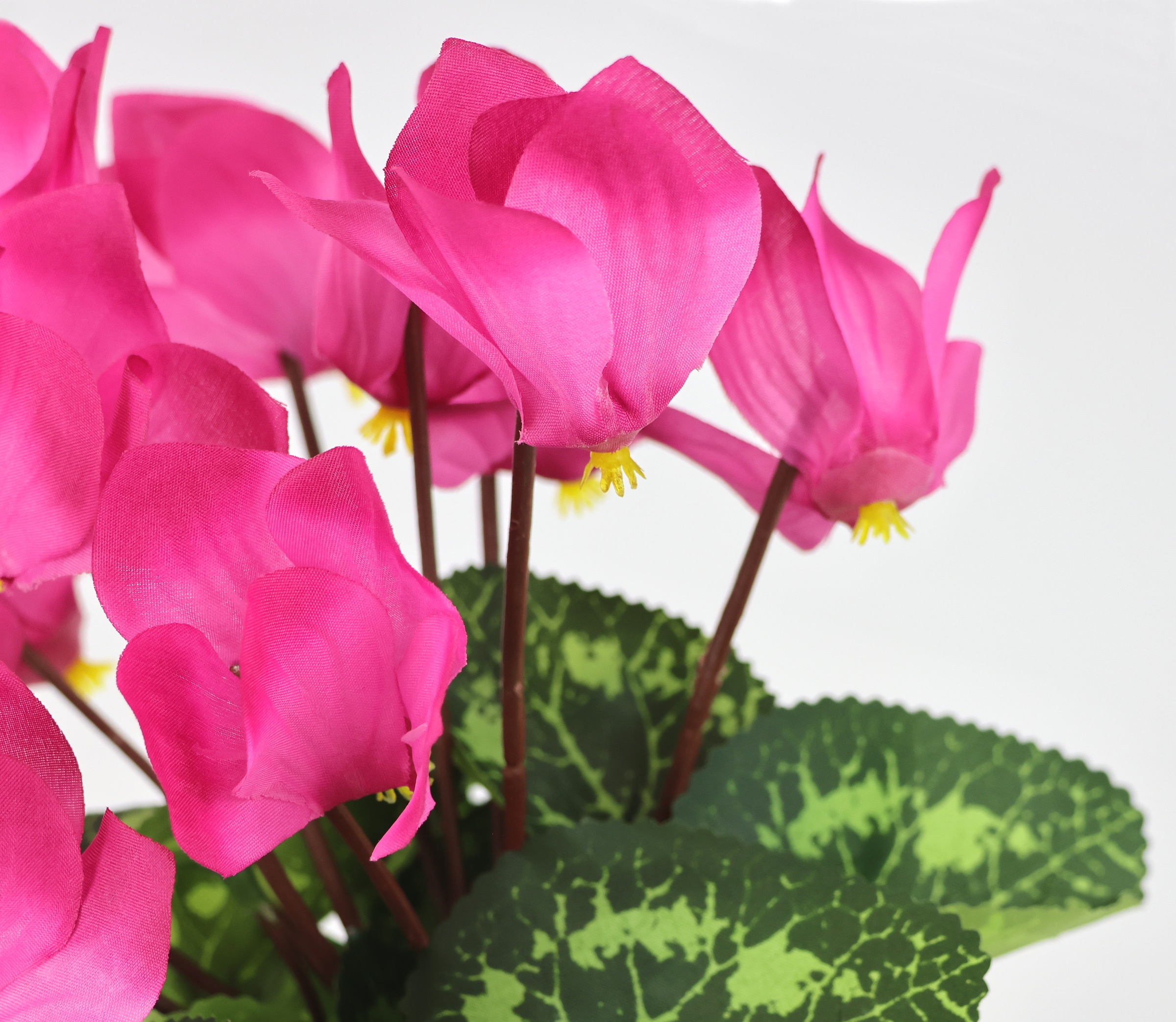 I.GE.A. Kunstblume »Alpenveilchen im Topf« Künstliche Blume  Dekopflanze Kunstpflanze Pflanze Primeln Seidenblume