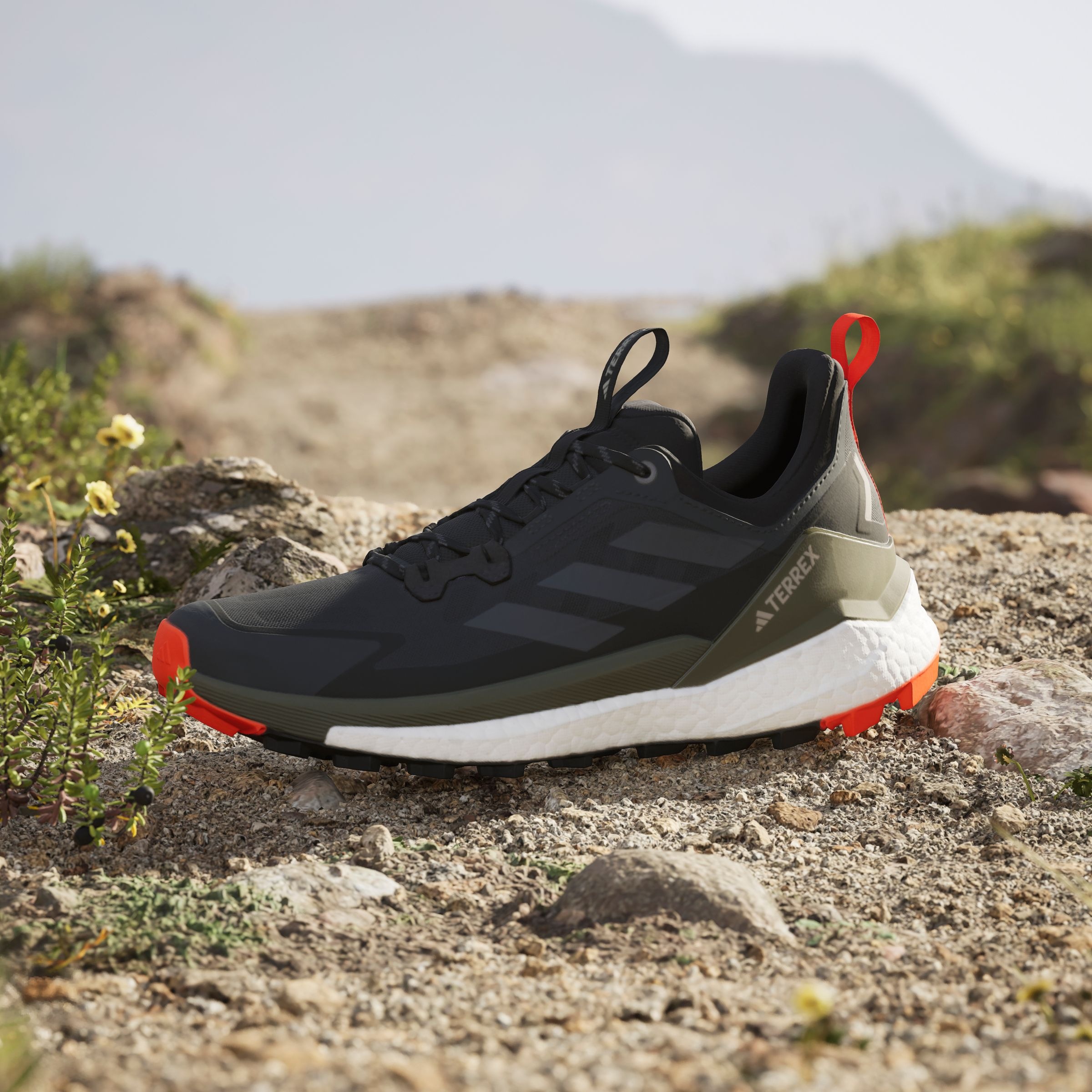 adidas TERREX Wanderschuh »TERREX FREE HIKER 2.0 LOW«