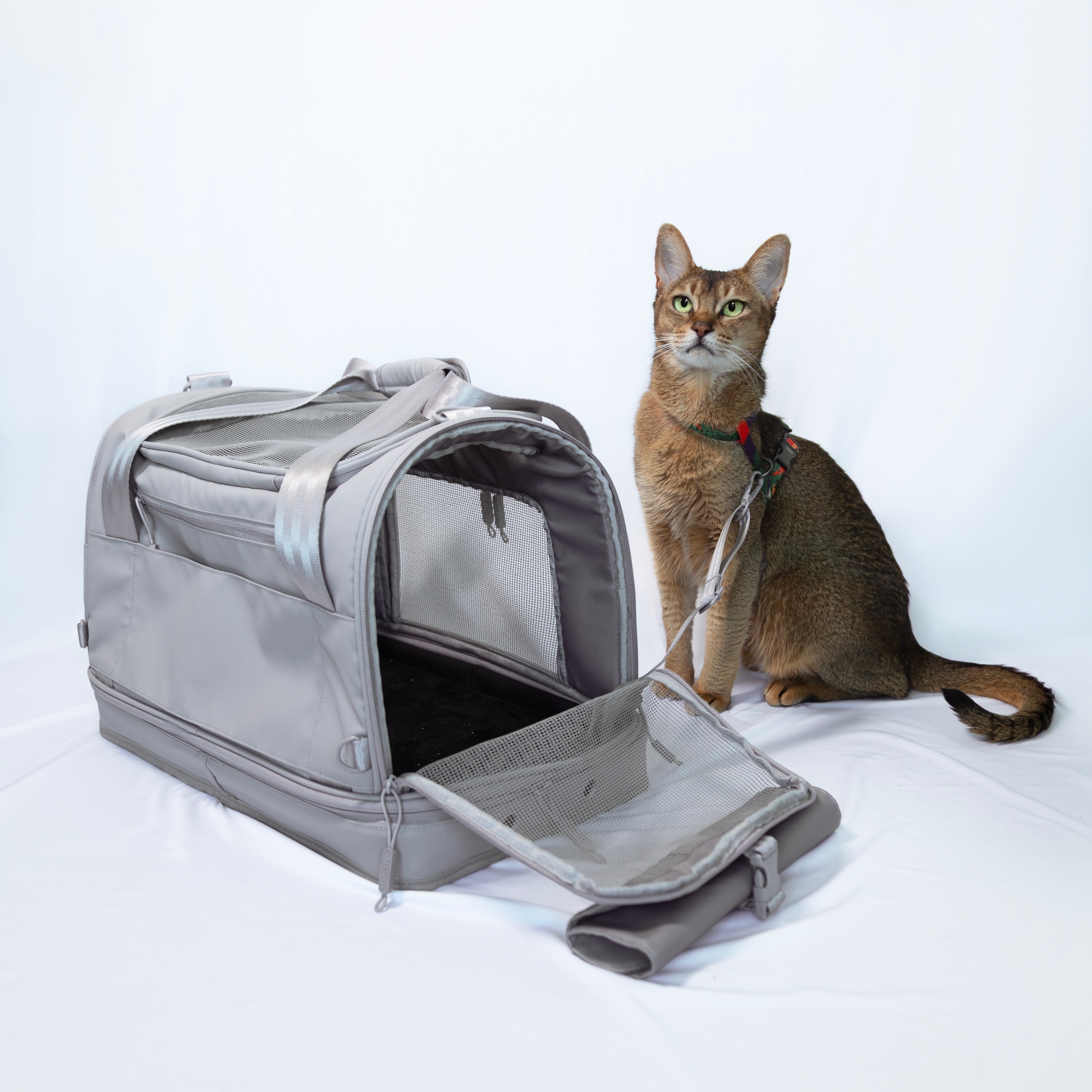Heys Tiertransporttasche »Heys Pawsenger« Tierkoffer, Tiertragetasche, handgepäcktauglich gemäß IATA-Empfehlung