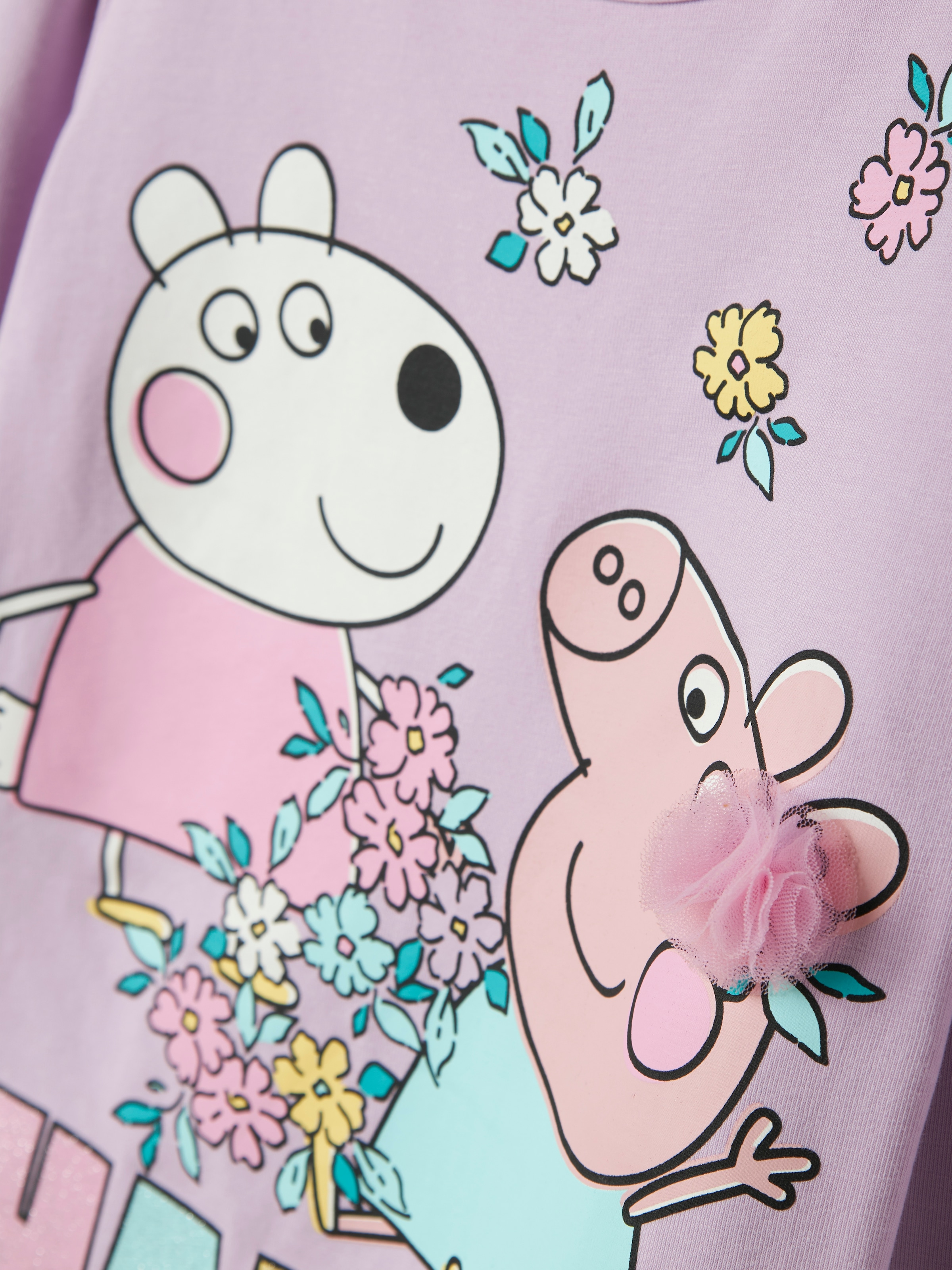 Name It Langarmshirt »NMFFIFFI PEPPA LS TOP BOX CPLG«
