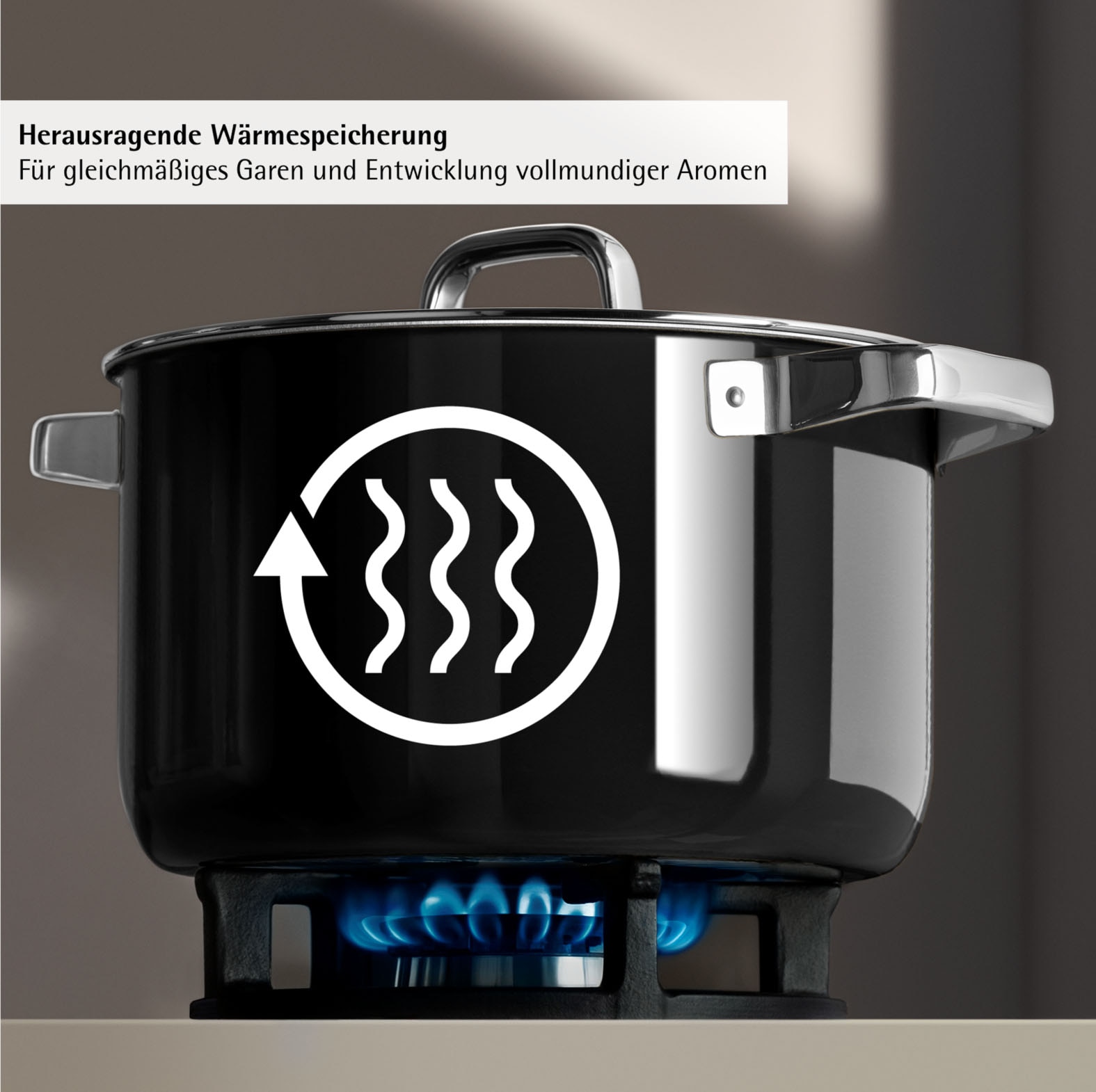 WMF Kasserolle »Fusiontec Mineral Pro« 1 tlg. tlg. Edelstahl | Glas