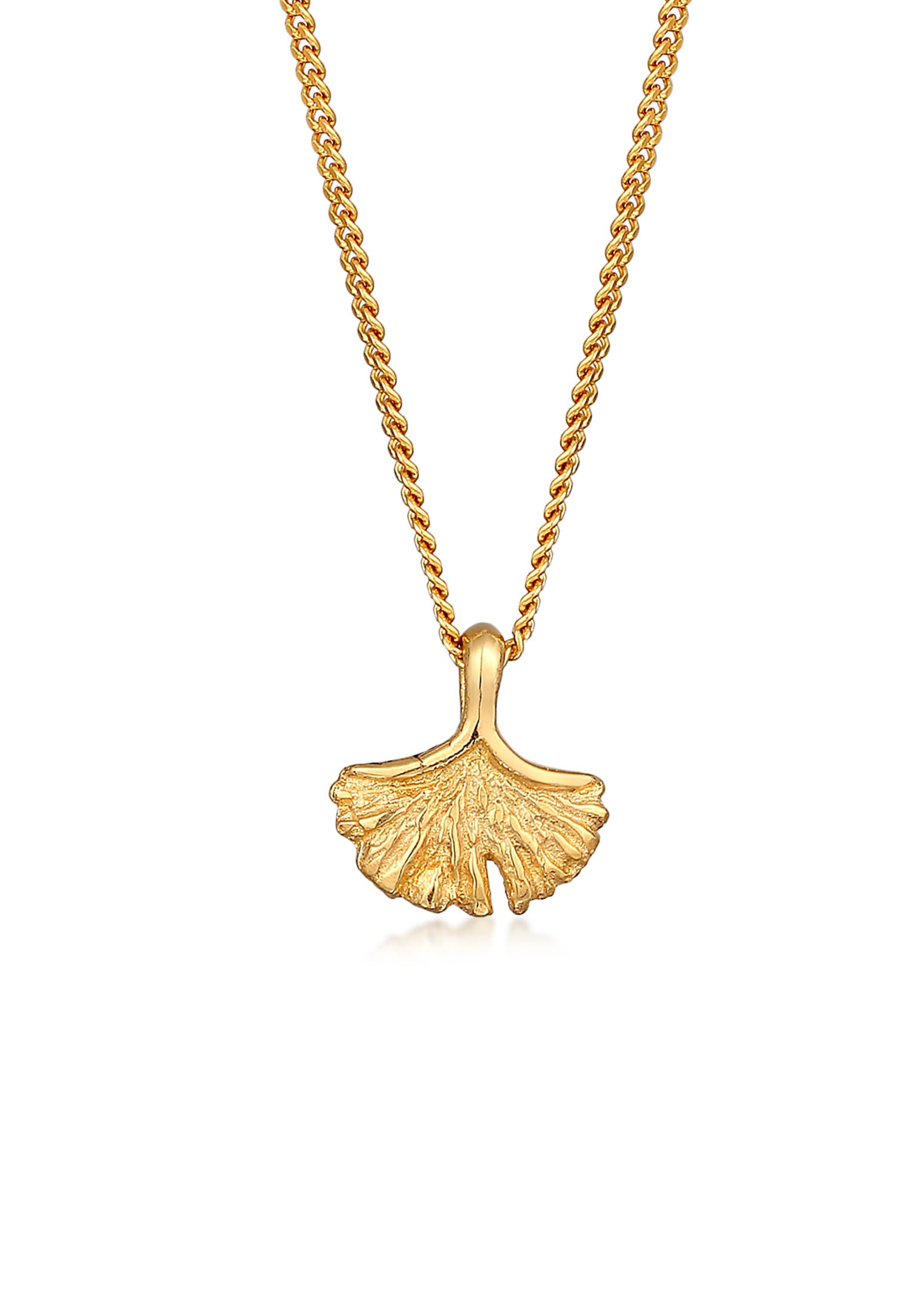 Elli Premium Kette mit Anhänger »Halskette Ginkgo Blatt Anhänger Natur 375er Gelbgold«
