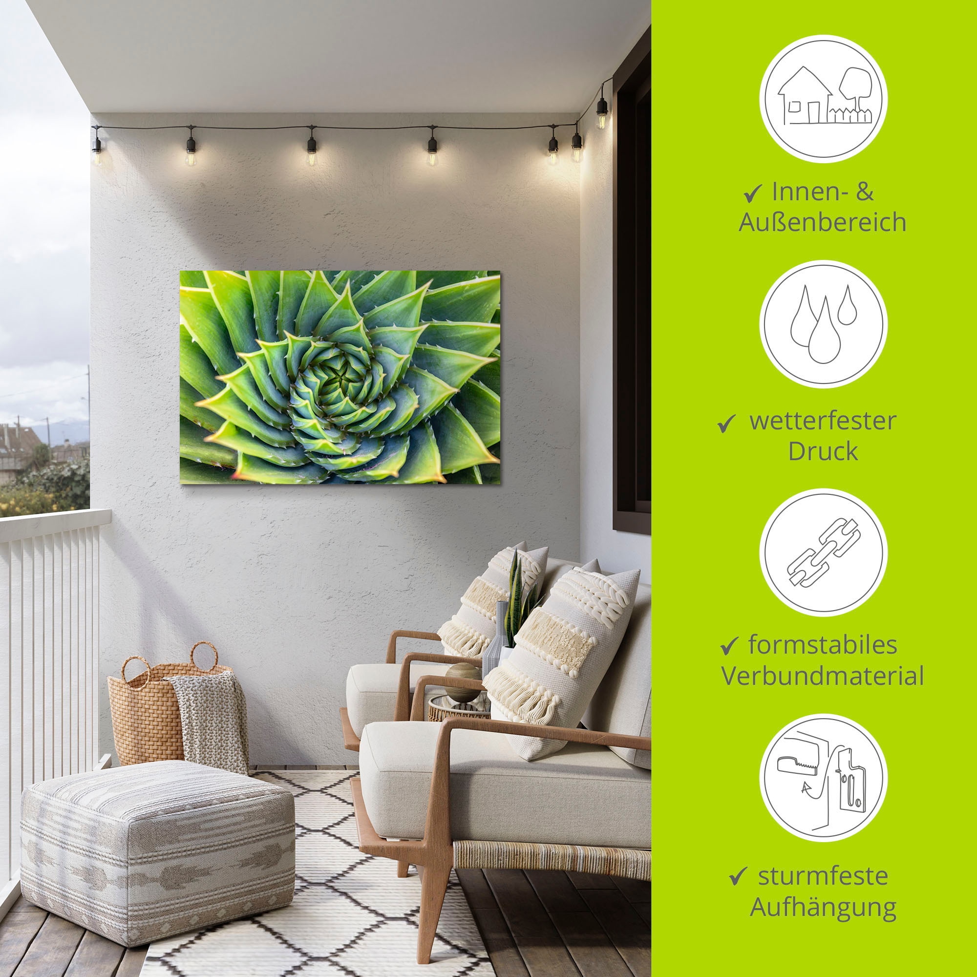 Artland Wandbild »Grüne Spirale«, Pflanzenbilder, (1 St.), als Alubild, Leinwandbild, Wandaufkleber oder Poster in versch. Größen