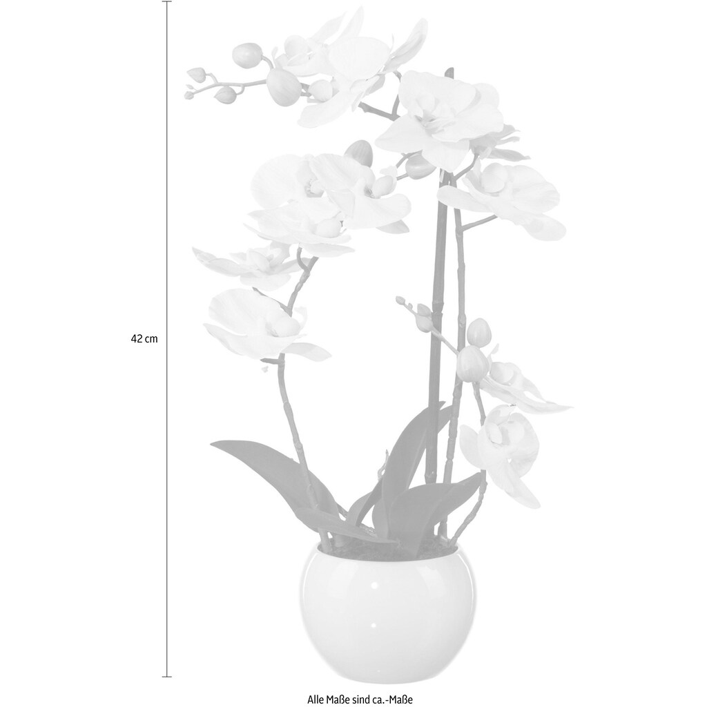 Creativ green Kunstpflanze »Phalaenopsis«