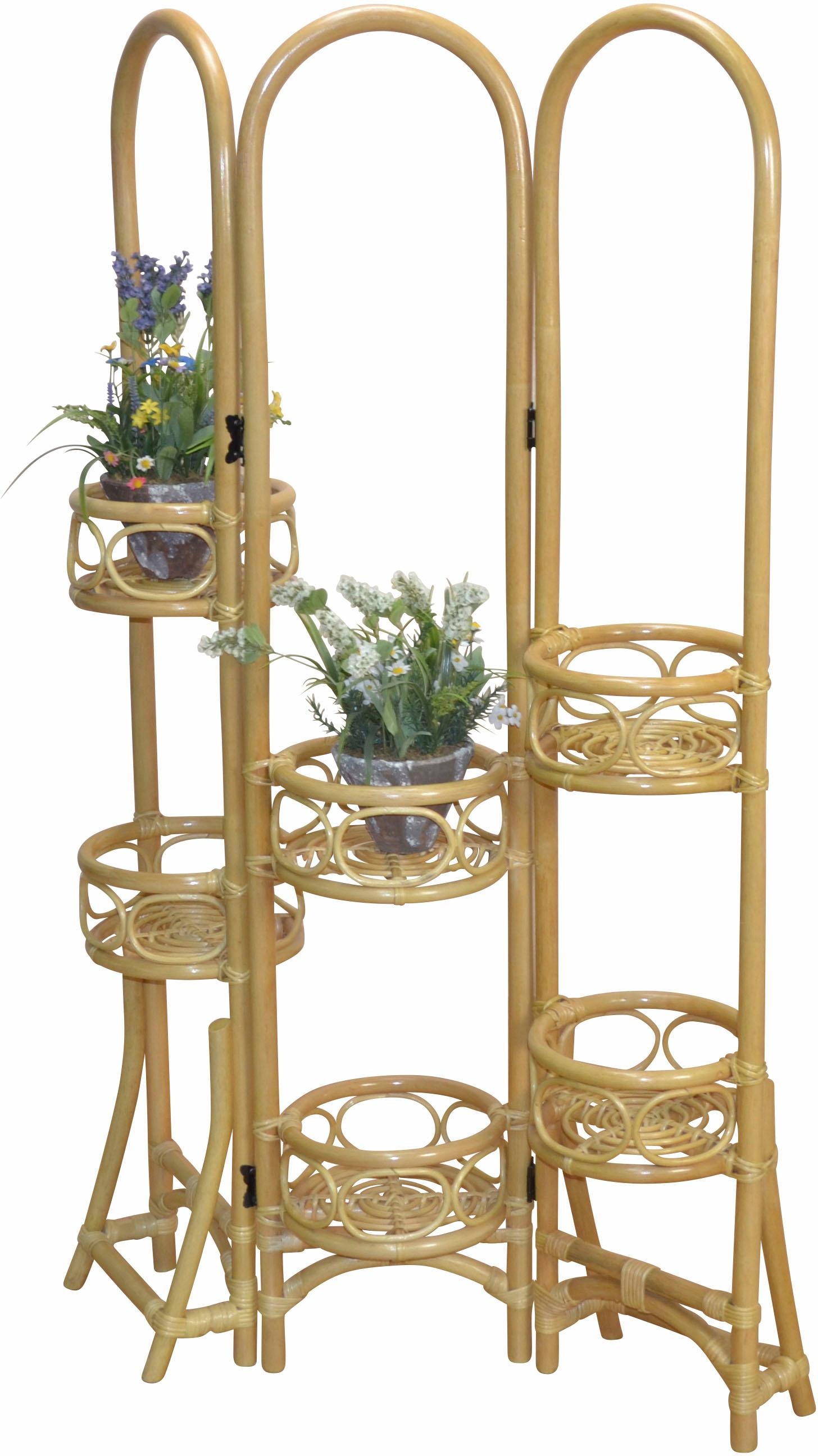 OTTO Paravent, Home mit Rattan Blumenhalterung bei affaire online