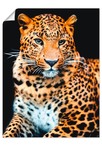 Wandbild »Wütender wilder Leopard«, Wildtiere, (1 St.)