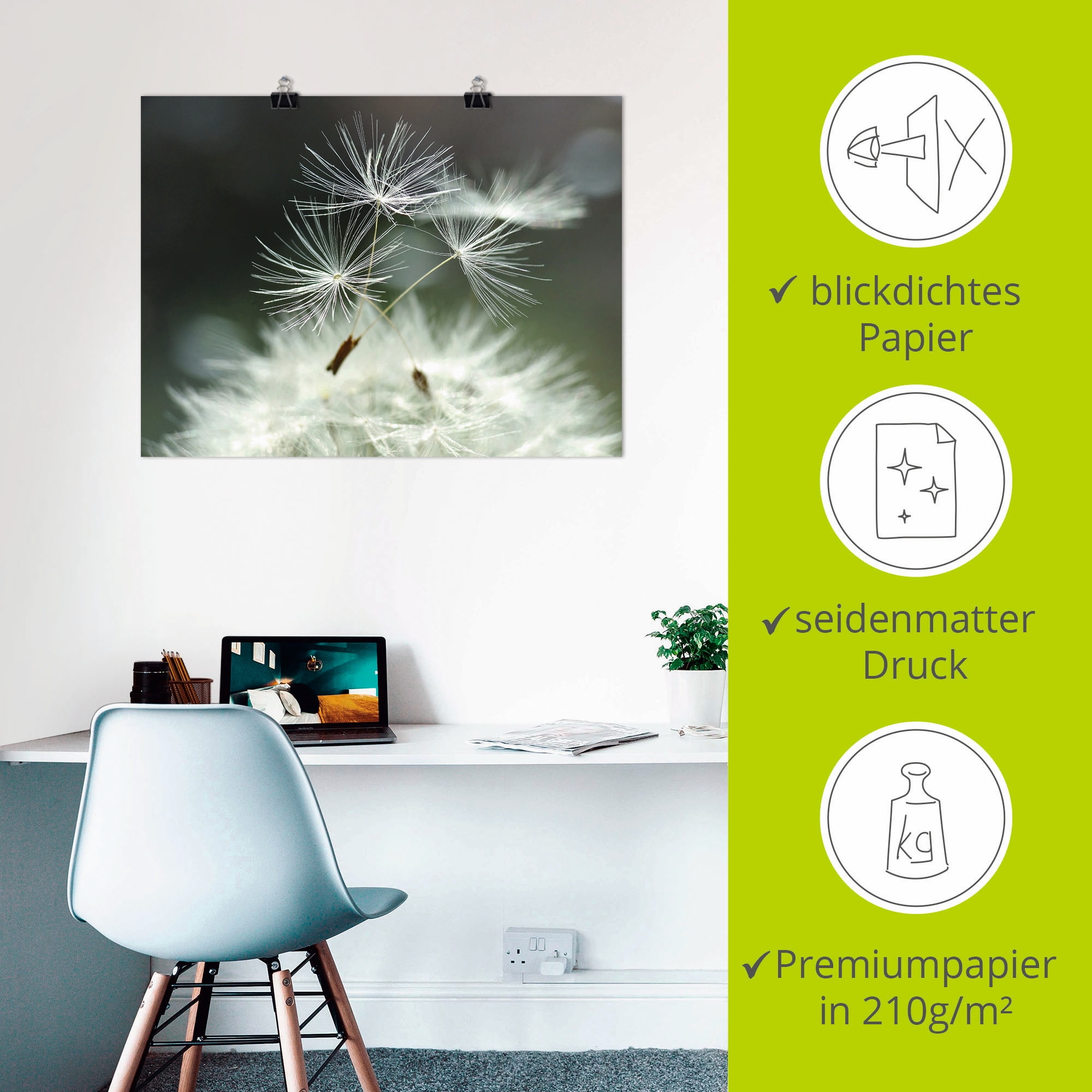 Artland Wandbild »Pusteblume Facility« Blumen 1 Stk. tlg. als Alubild, Leinwandbild, Poster in verschied. Größen