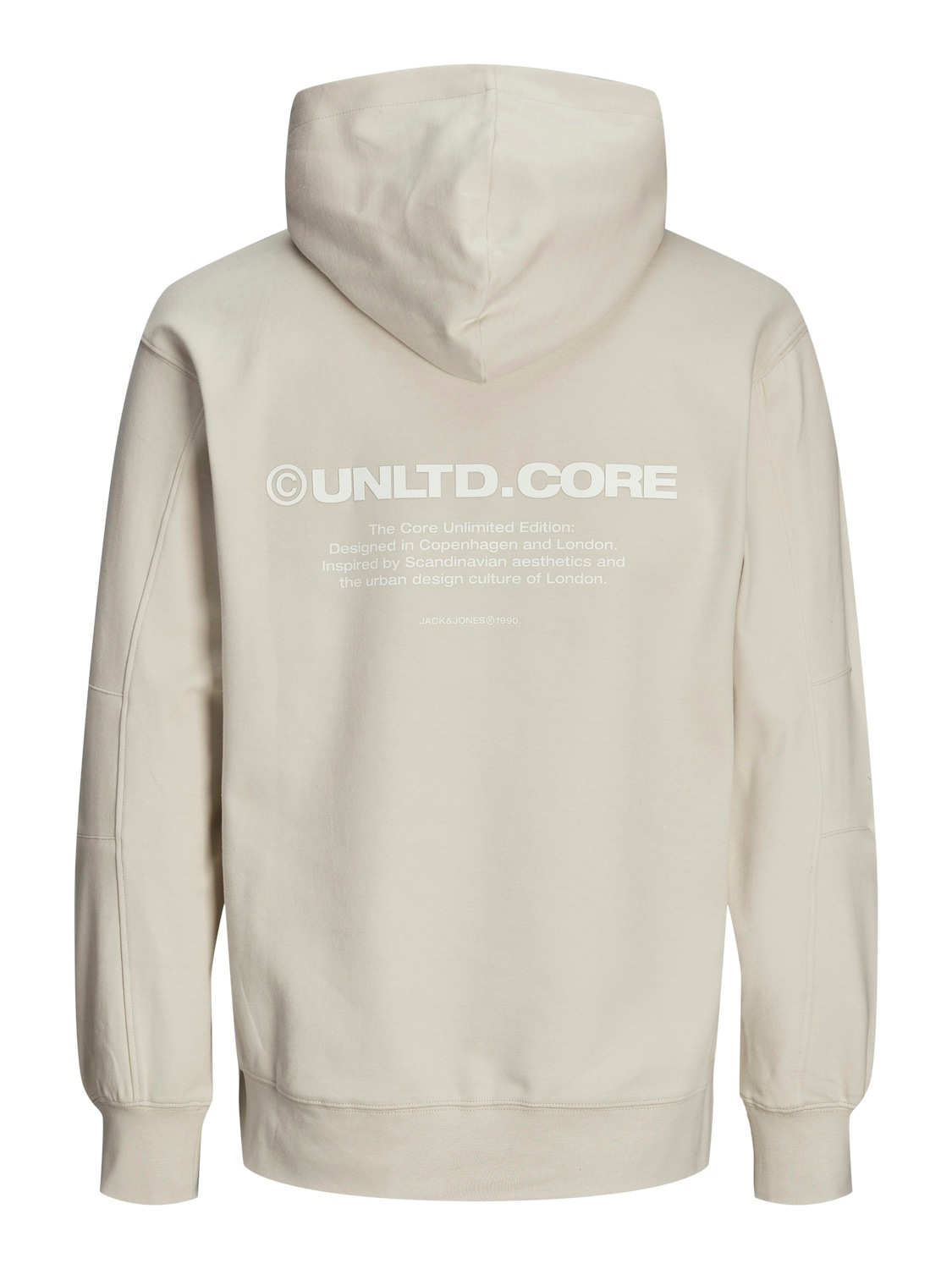 Jack & Jones Kapuzensweatshirt »JCOAERO PRINT SWEAT HOOD NOOS«