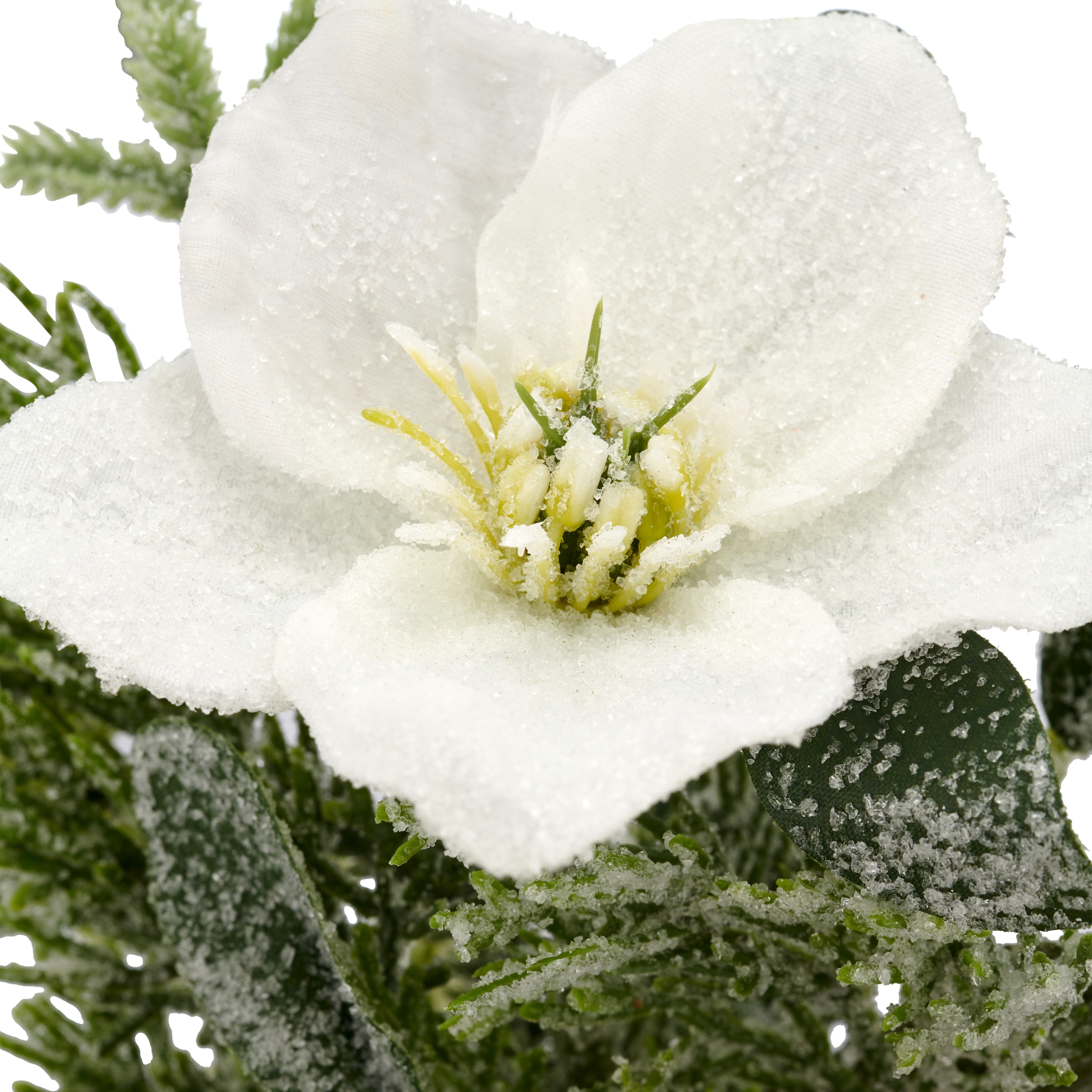 Creativ green Winterliche Kunstpflanze »Arrangement mit Christrose« mit üppiger Blütenpracht