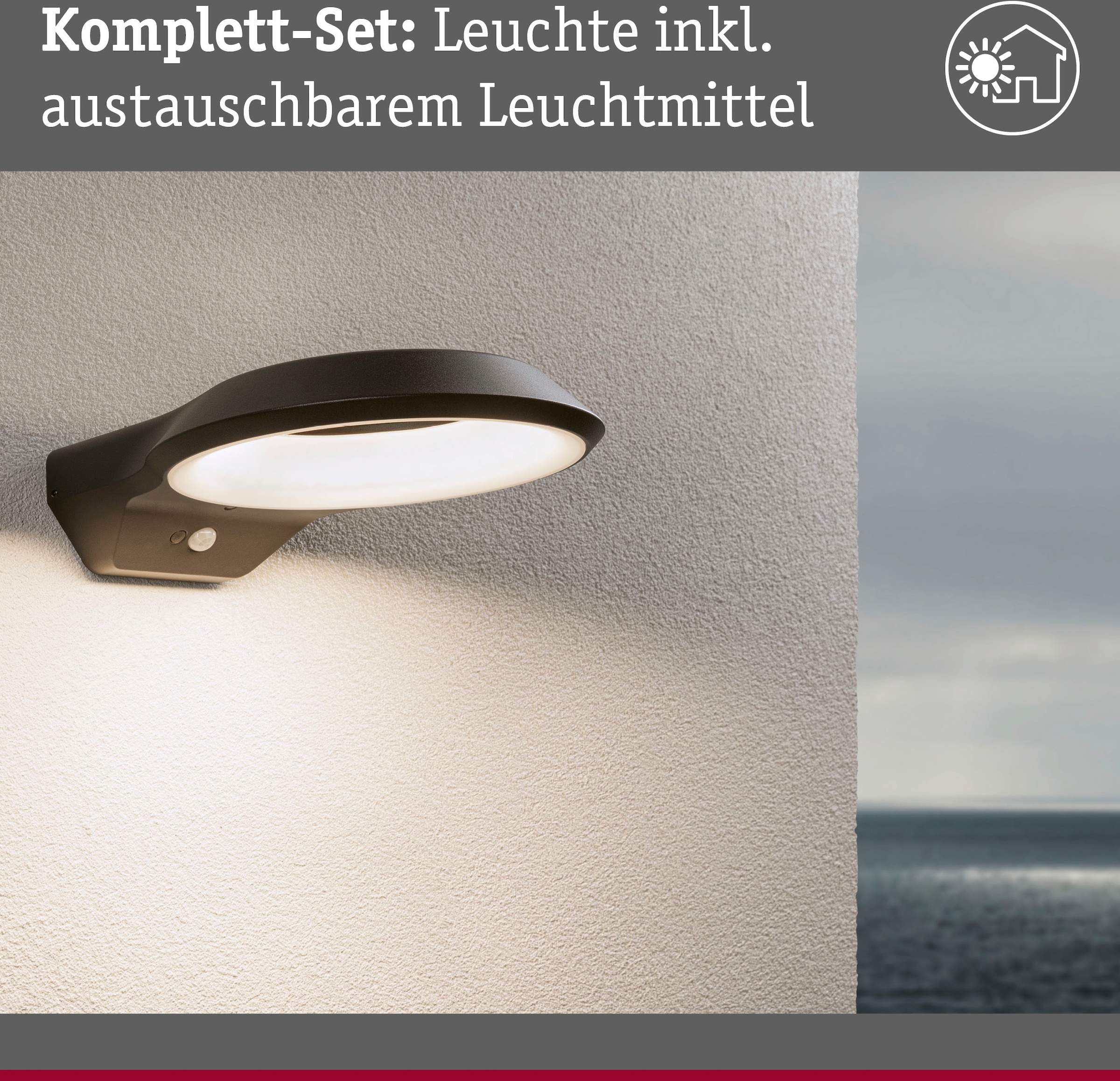 Paulmann LED Außen-Wandleuchte »Anela 230V anthrazit IP44«, 1 flammig