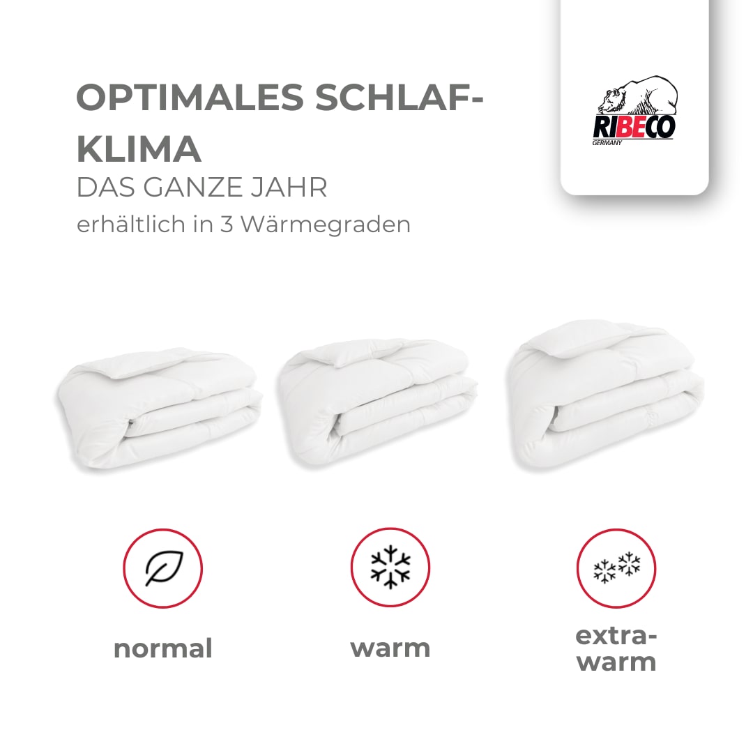 RIBECO Federbettdecke »Laram, Bettdecken für Sommer oder Winter, Made in Germany«, warm, Füllung 90% Federn, 10% Daunen, Bezug Baumwolle, (1 St.), Super Preis-Leistung, Bettdecke 135x200 cm oder 155x220 cm, Decke