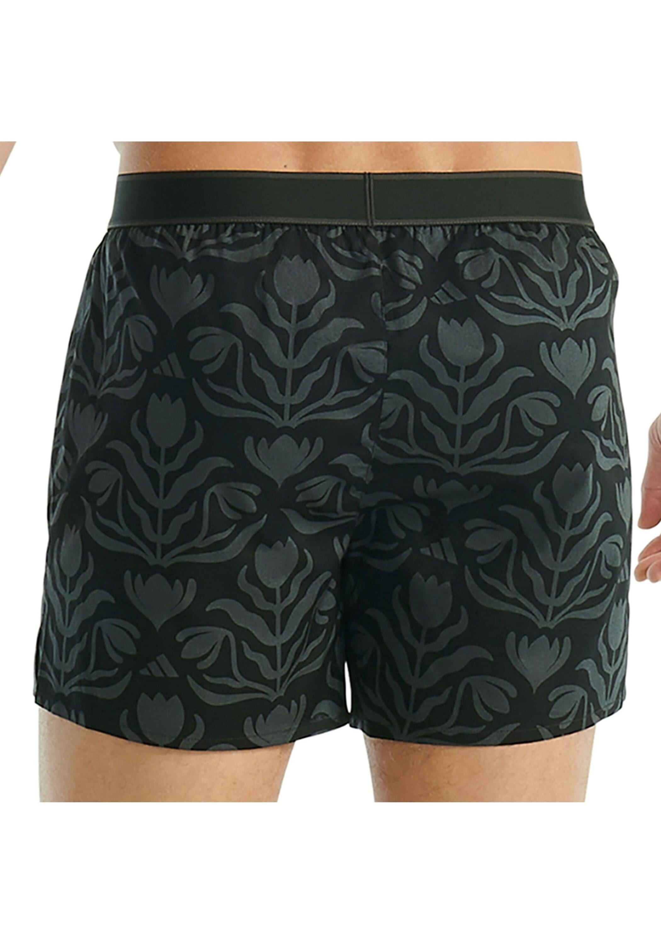 adidas Originals Webboxer »Web-Boxershorts 2er Pack«