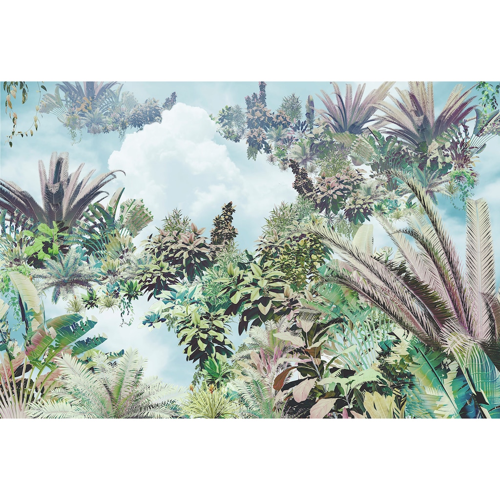 Komar Vliestapete »Tropical Heaven«