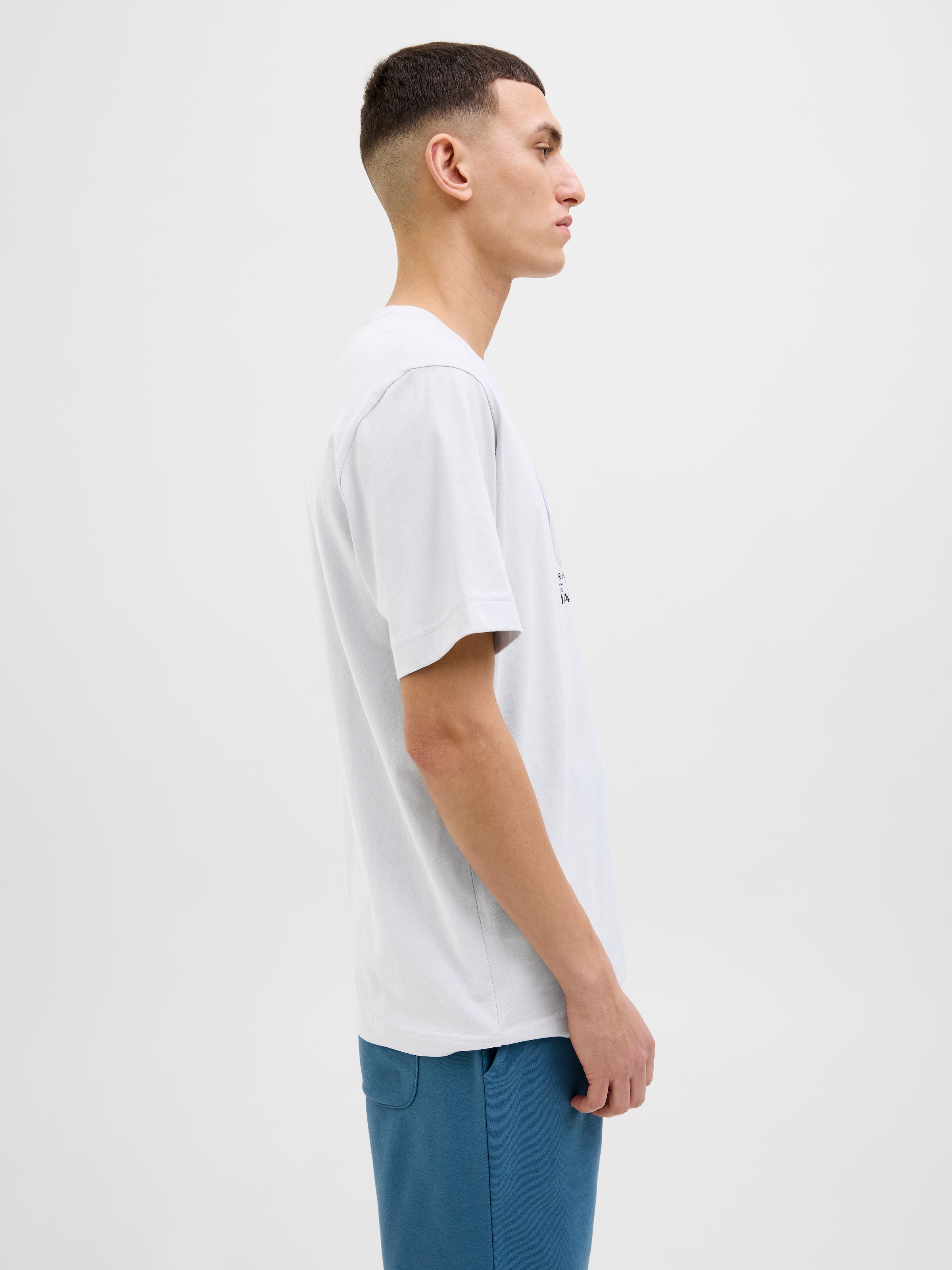 Jack & Jones Print-Shirt »JCOCALMA TEE SS CREW NECK FST«, mit Frontprint
