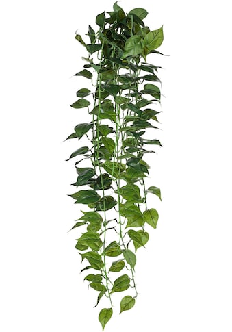 Creativ green Kunstranke »Philodendron-Hänger«, (1 St.) kaufen