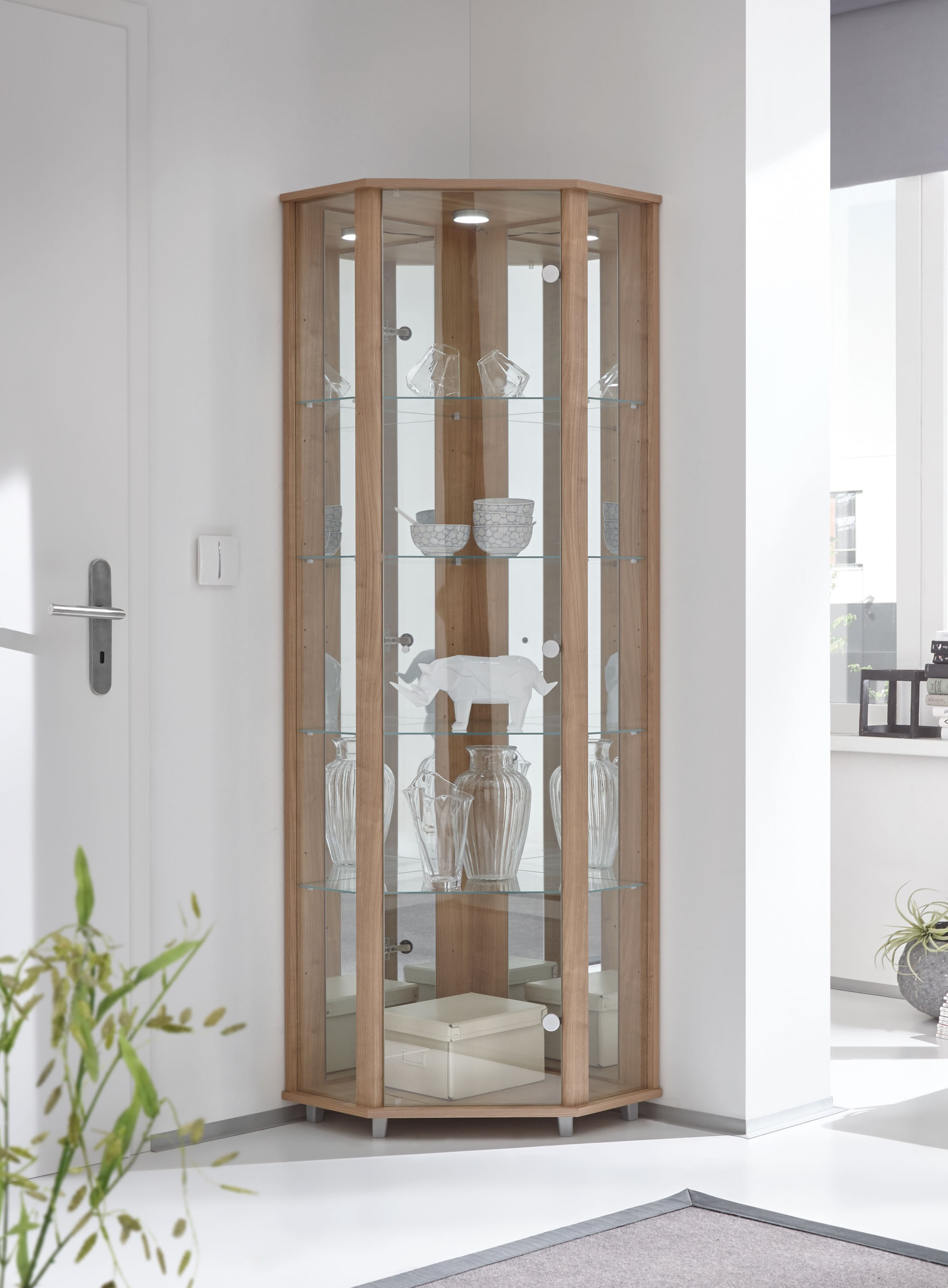 fif möbel Eckvitrine »TRIO Höhe ca. 172 cm, ink. Beleuchtung«, Eckvitrine/Glasvitrine 1x Glastür, perfekt für Sammler, Sammlervitrine