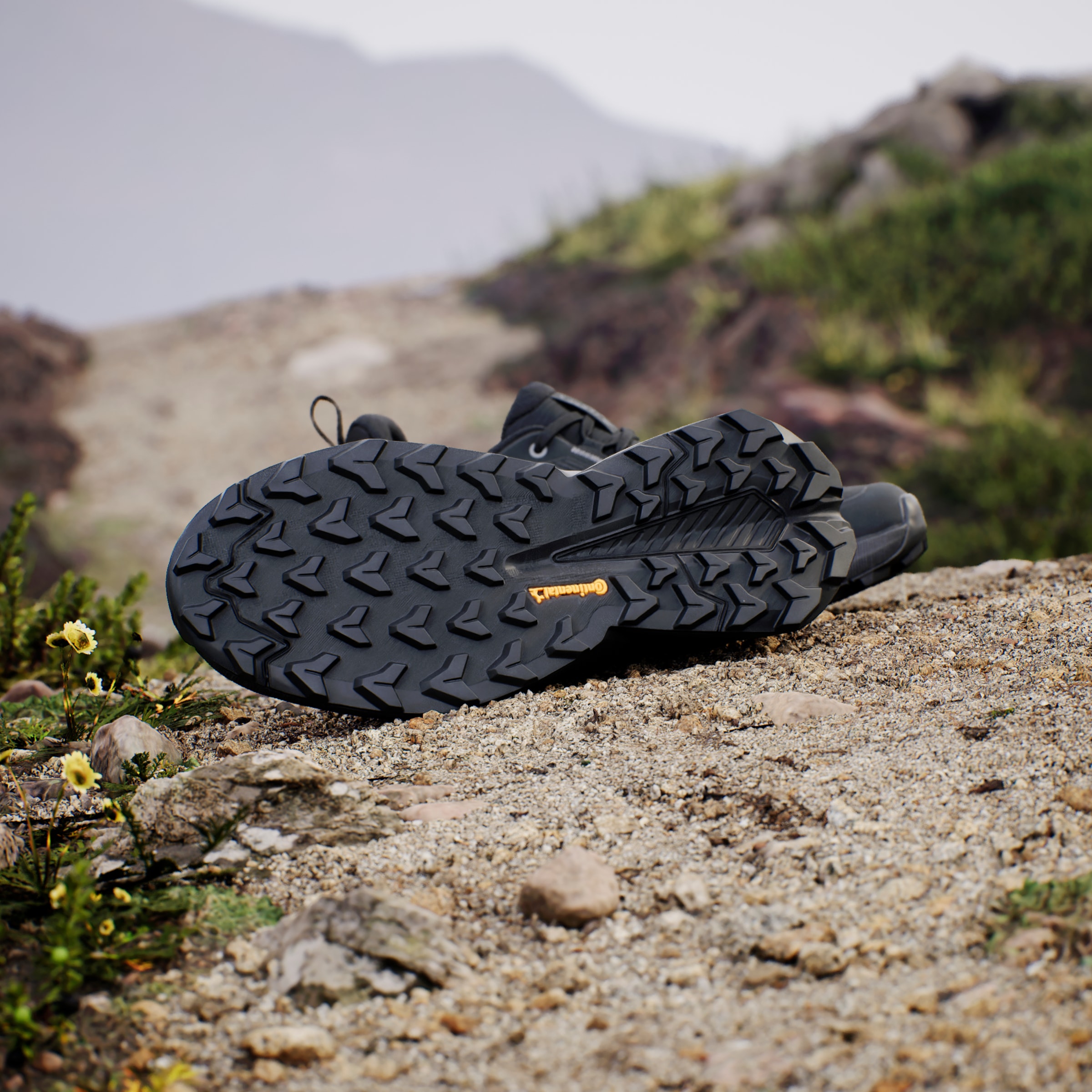 adidas TERREX Wanderschuh »TRAILMAKER 2 GORE-TEX«, wasserdicht