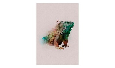Komar Poster »Animals Paradise Iguana«, Tiere, Höhe: 70cm kaufen