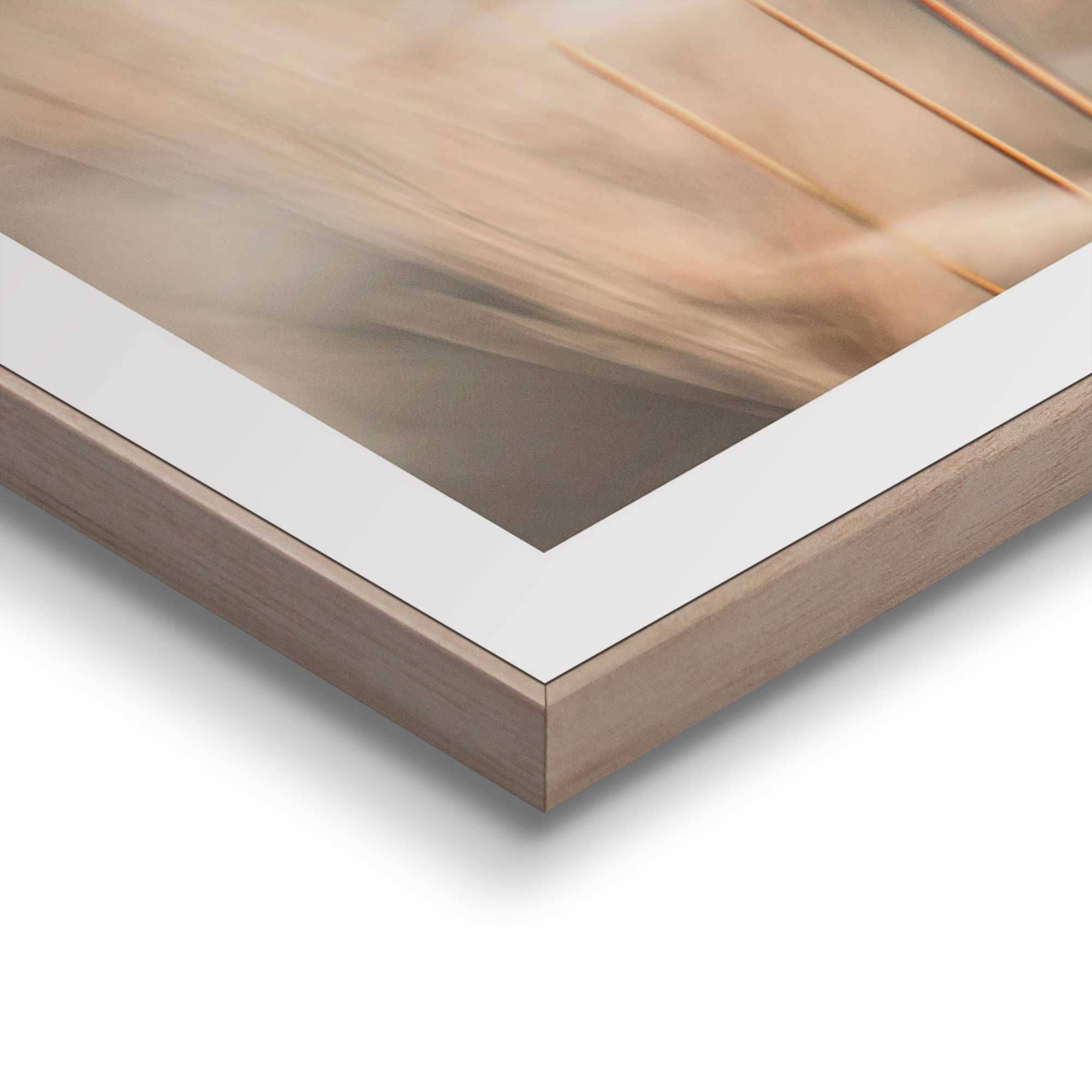 Reinders! Poster »Plumes«, Wohnzimmer - Grasfedern - Beige - MDF - Blumen und Pflanzen - 30x40 cm
