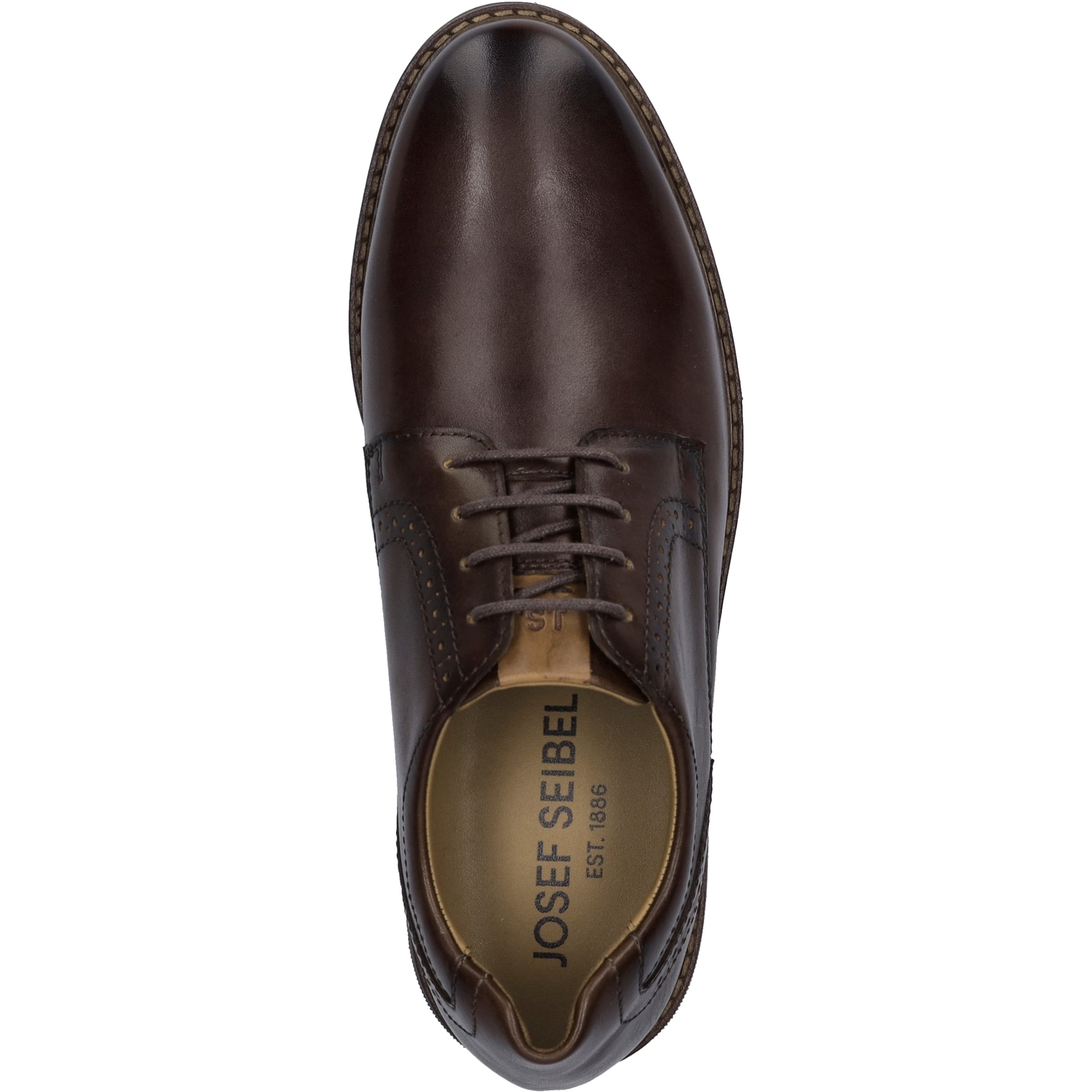 Josef Seibel Schnürschuh »Stuart 09, castagne-kombi«