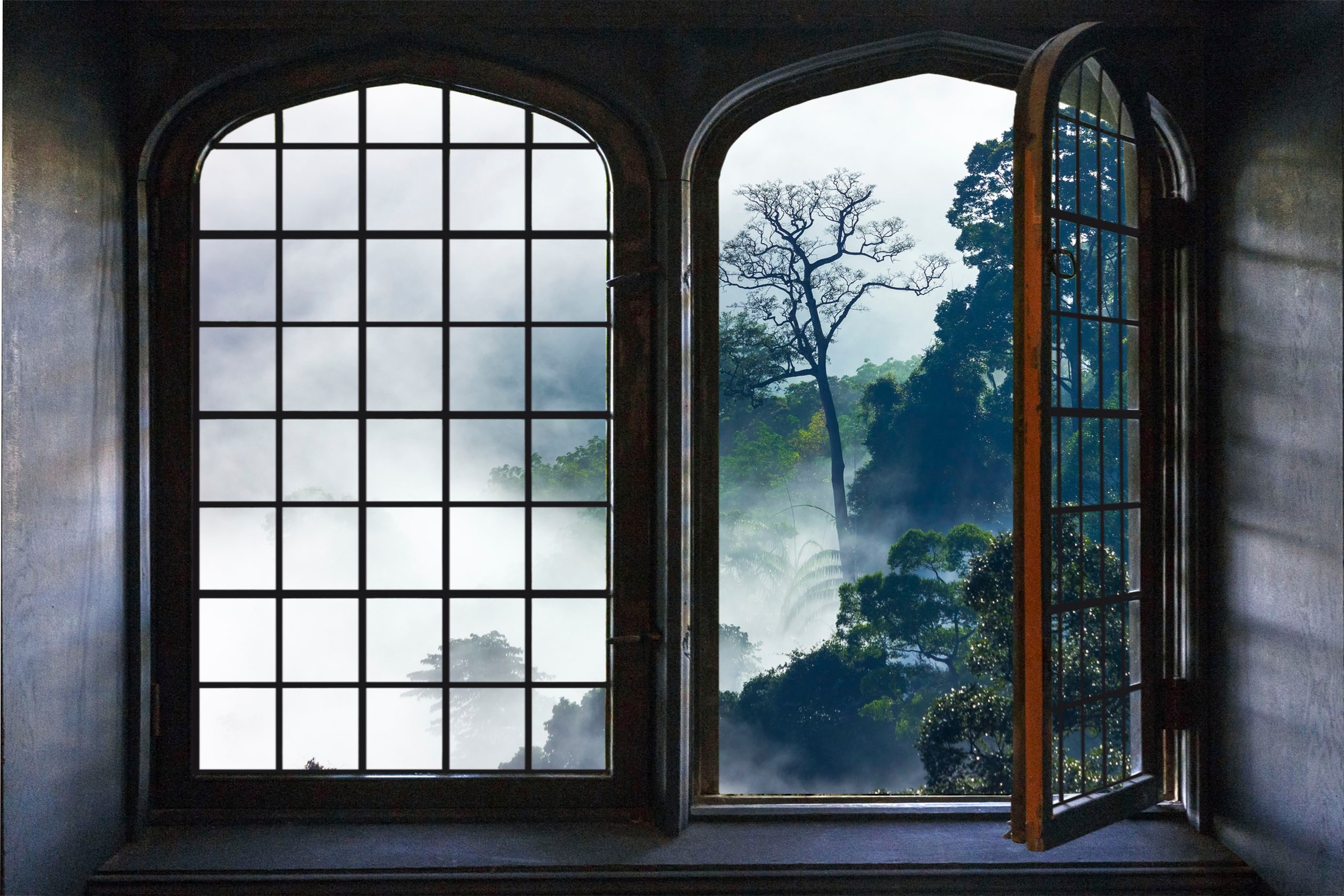 queence Wandsticker »Urwald«, Wandsticker, Wandbild, selbstklebend, 3D, Fenster
