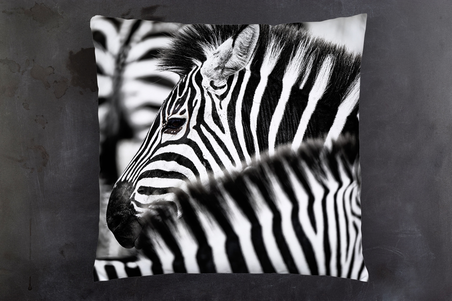 queence Dekokissen »Zebra Herde«, Kissenhülle mit HD Premium Druck, geruchsneutral, 40x40cm