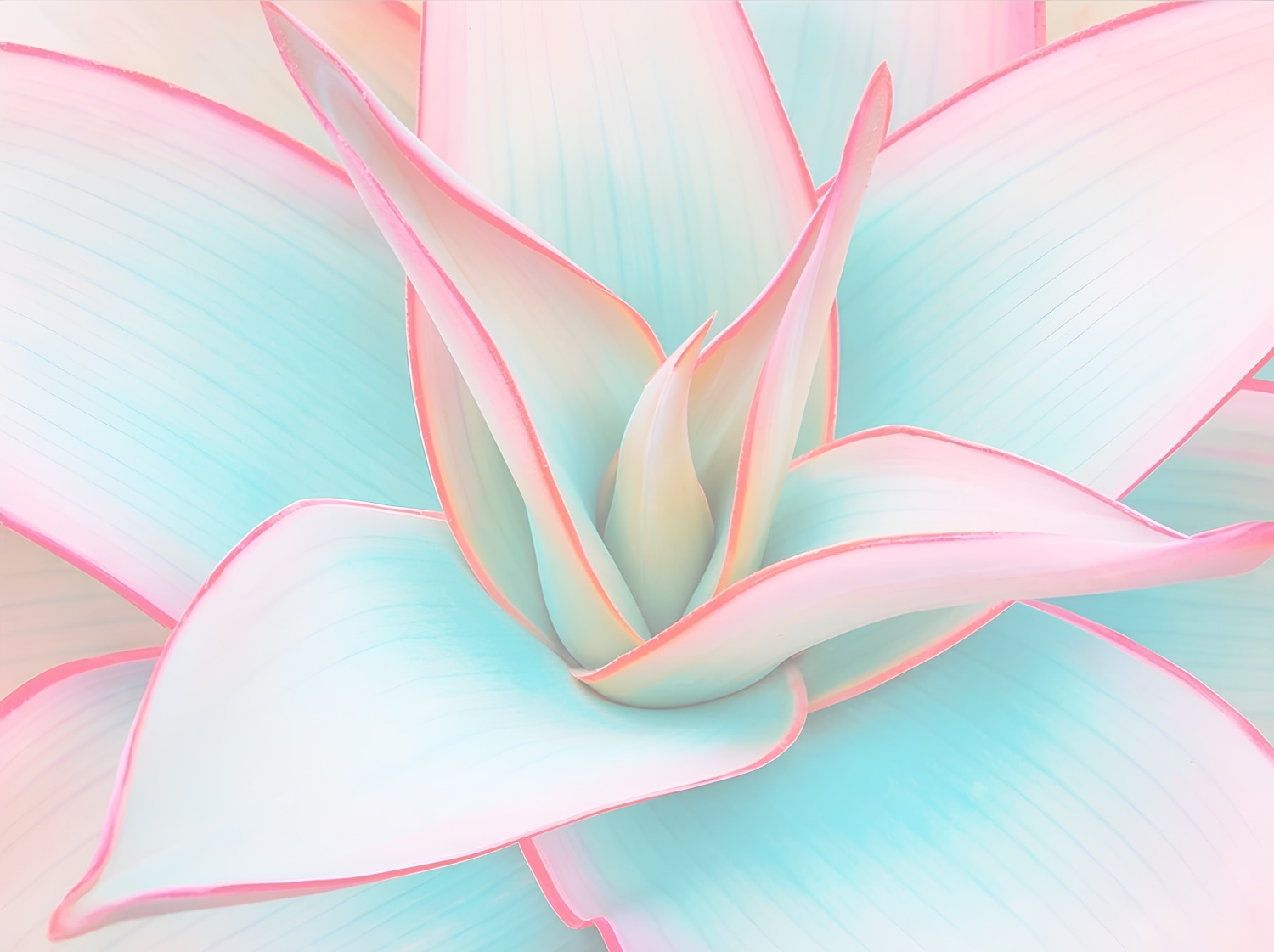 queence Acrylglasbild »Blüte in Pastelltönen« Abstrakt | Abstrakte | Blumen | Blumenbilder | Formen | Gemälde | Kunst 1 Stk. tlg. Kunstdruck in Galeriequalität inkl. rückseitigem Aufhängesystem