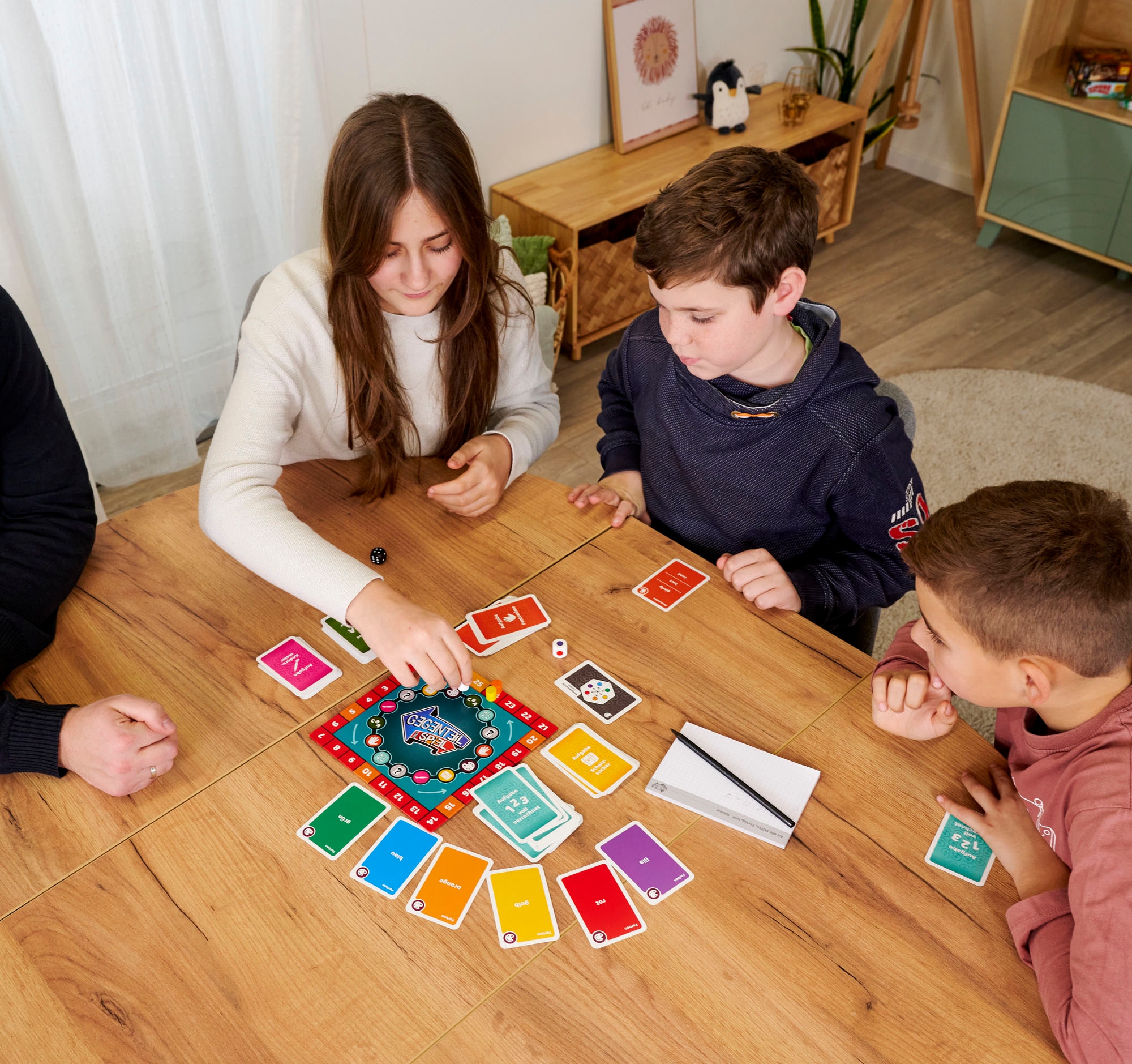 Noris Spiel »Gegenteil«